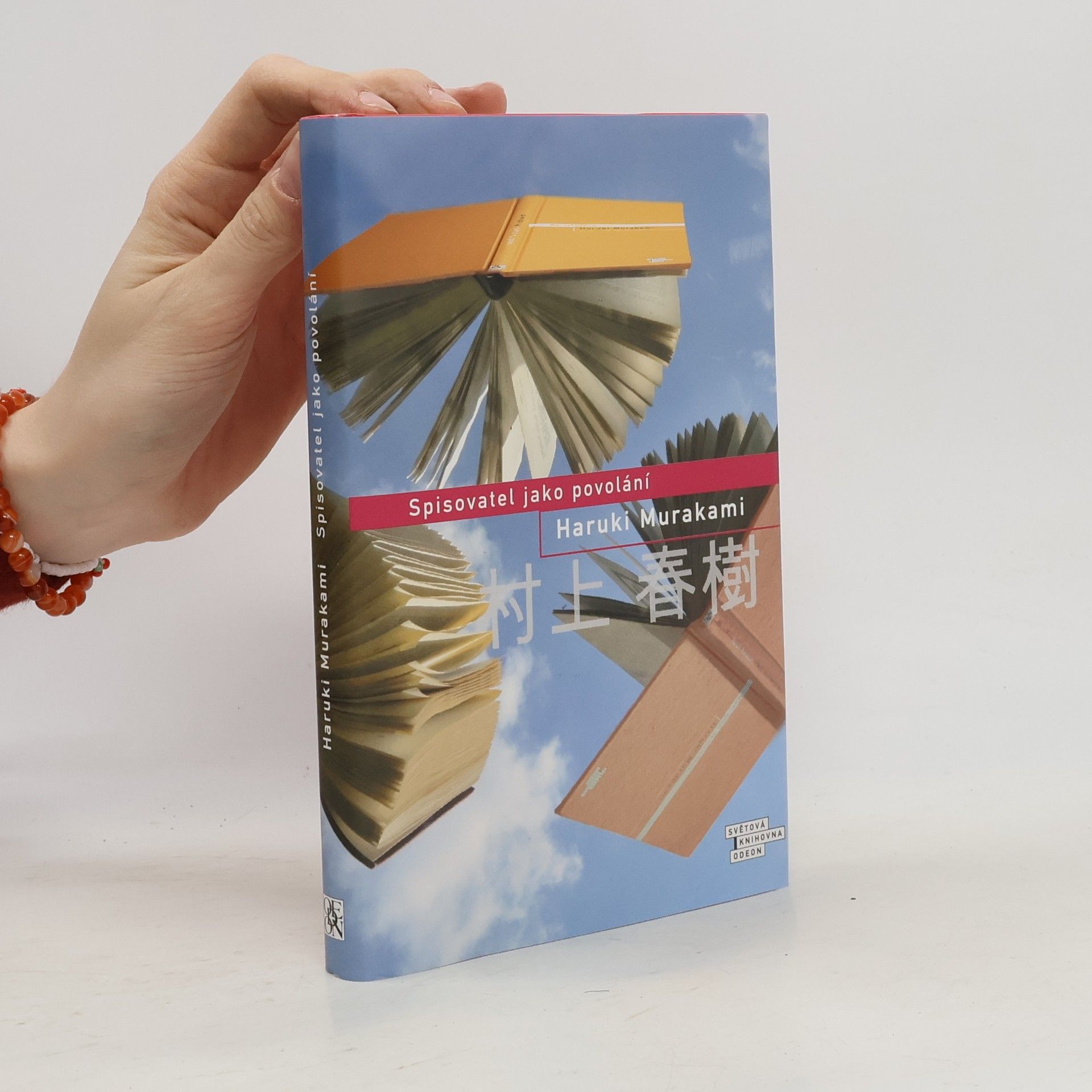 Spisovatel jako povolání