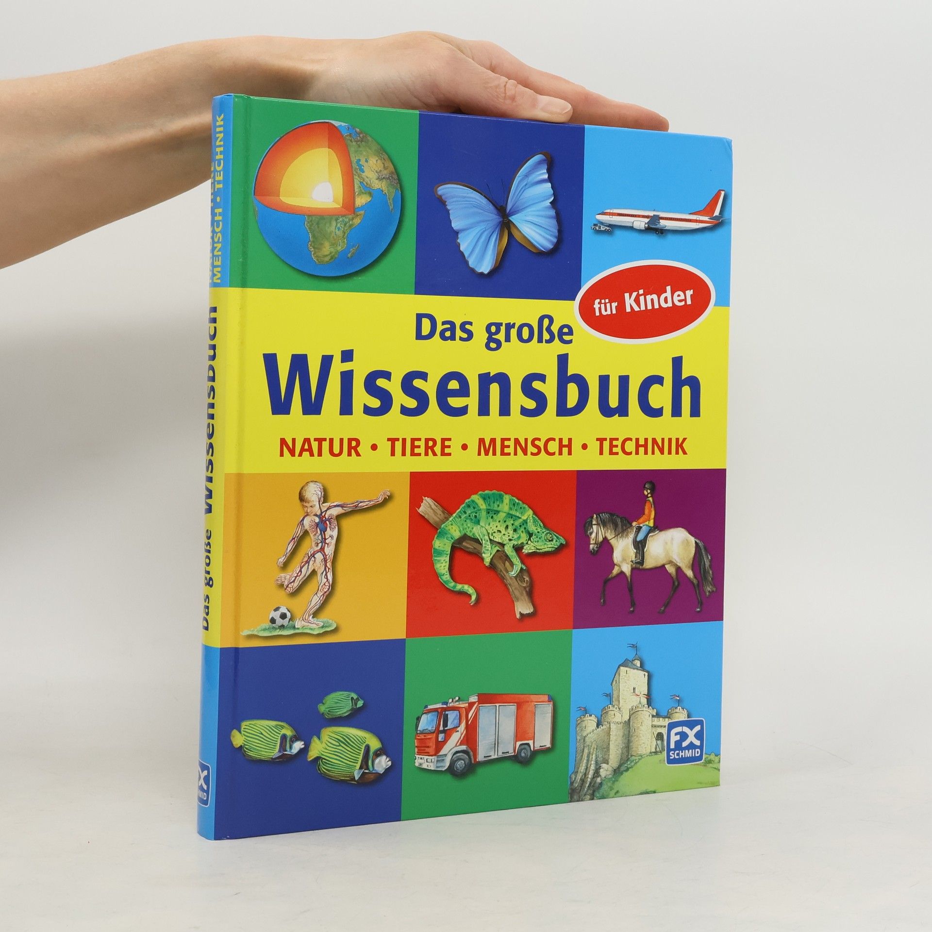 Patricia Mennen Das große Wissensbuch