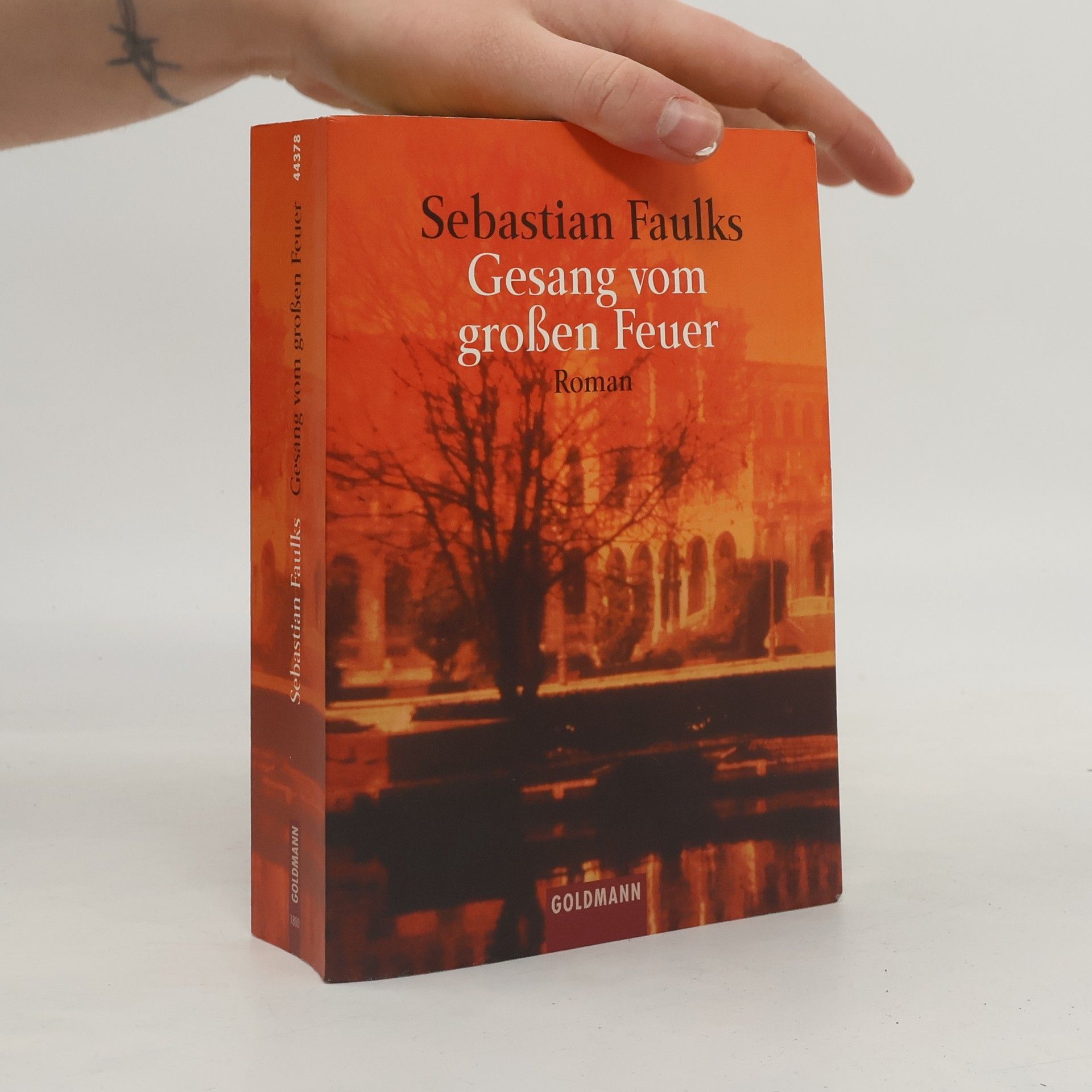 Sebastian Faulks Gesang vom großen Feuer