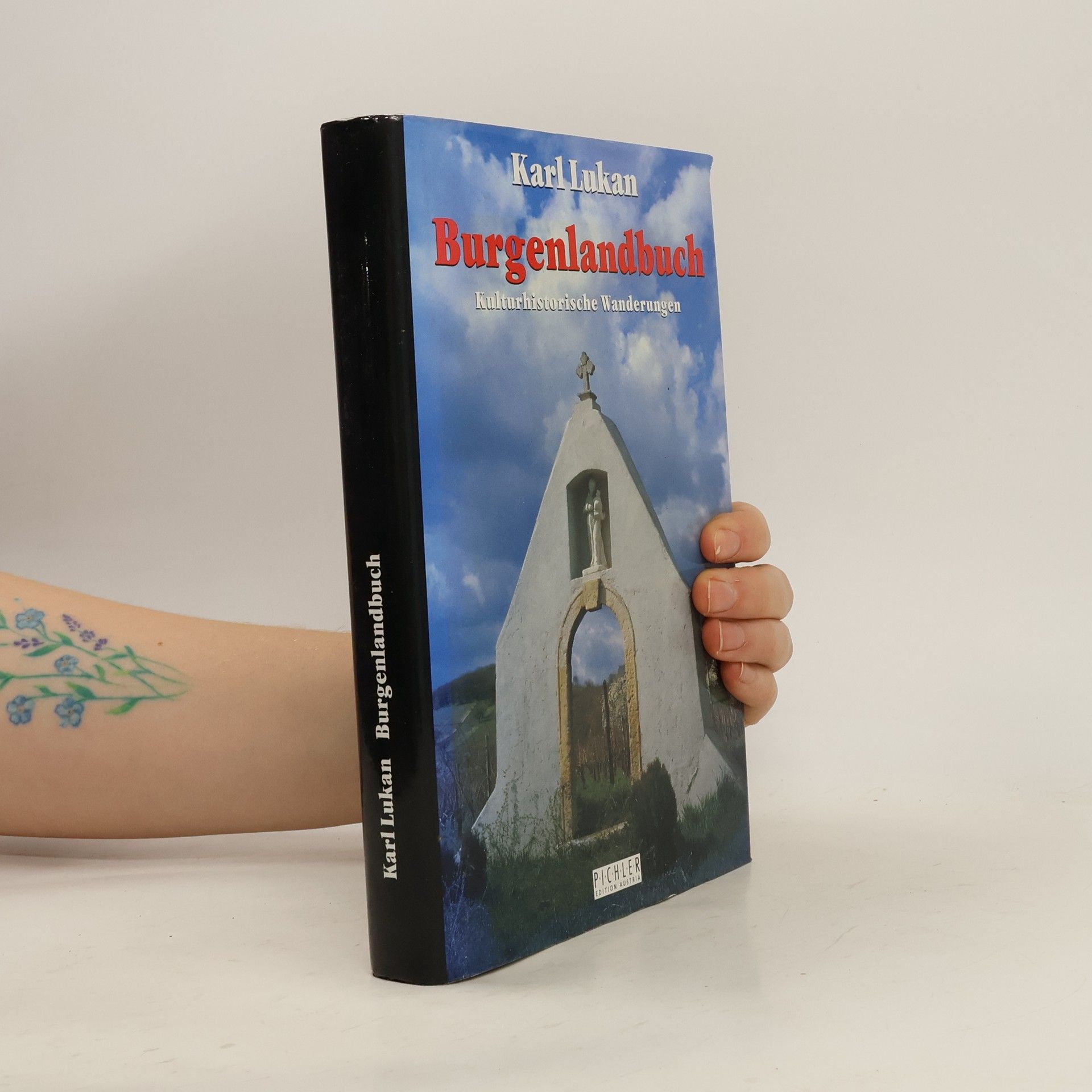 Burgenlandbuch. Kulturhistorische Wanderungen