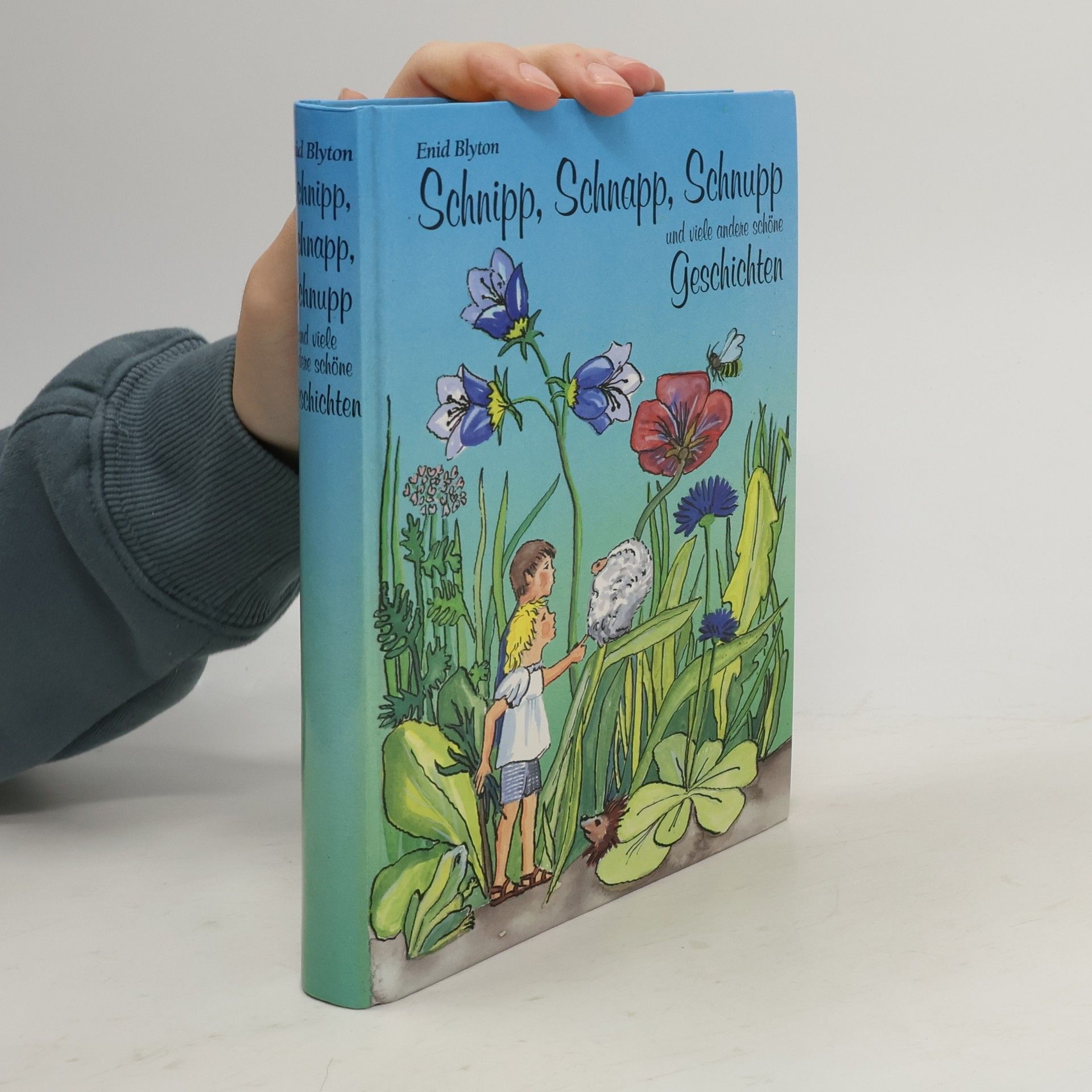 Enid Blyton Schnipp, Schnapp, Schnupp und viele andere schöne Geschichten