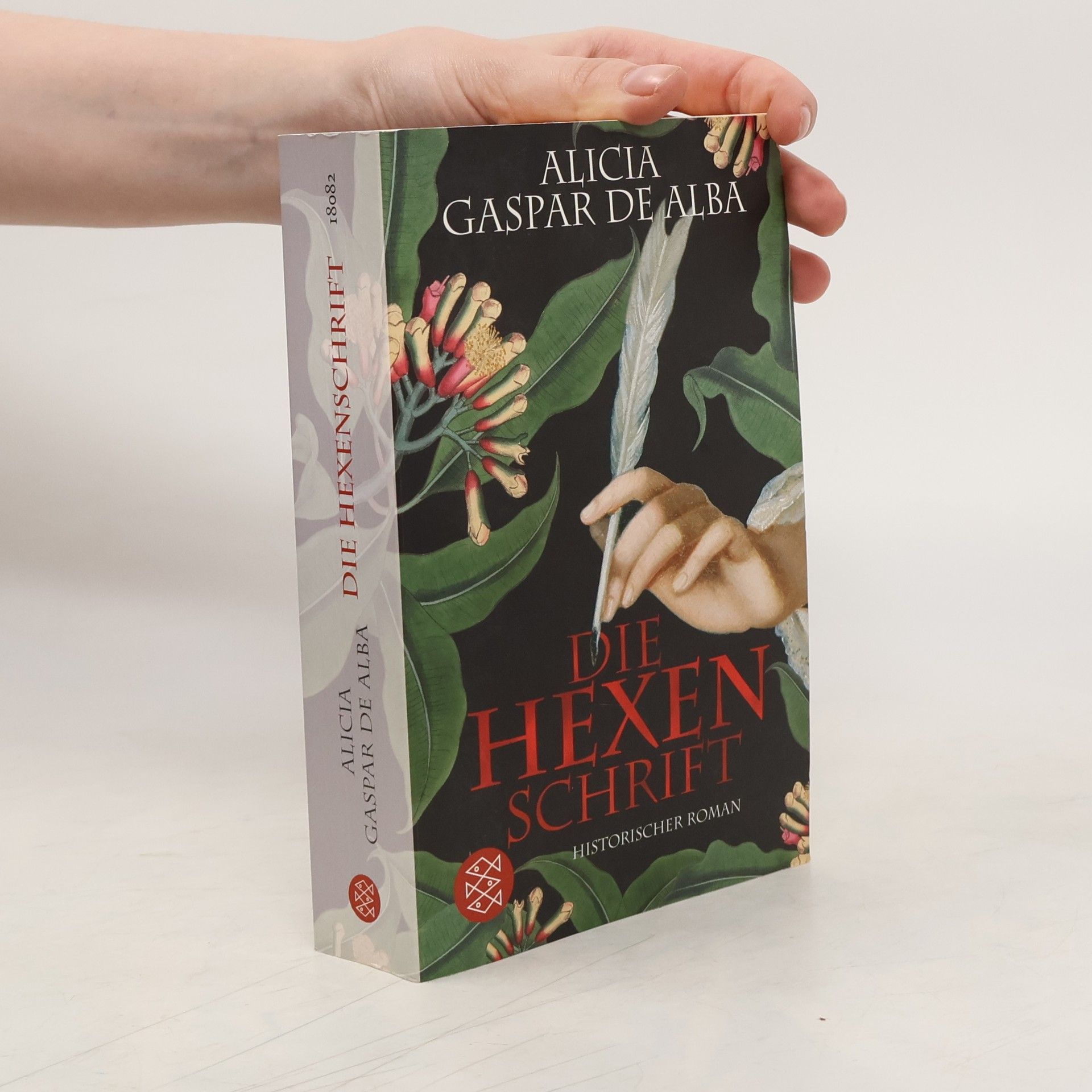 Alicia Gaspar de Alba Die Hexenschrift