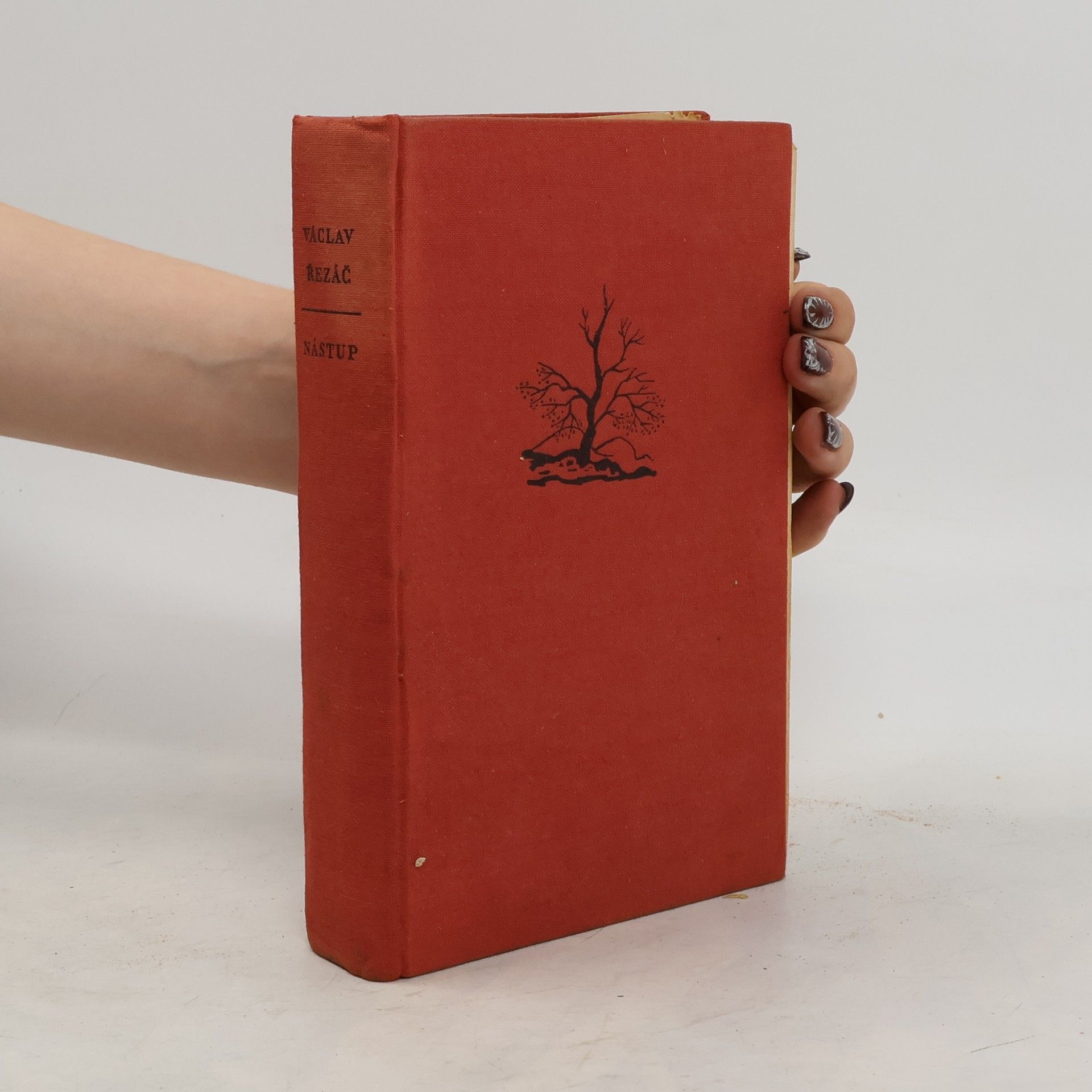 Václav Řezáč Nástup