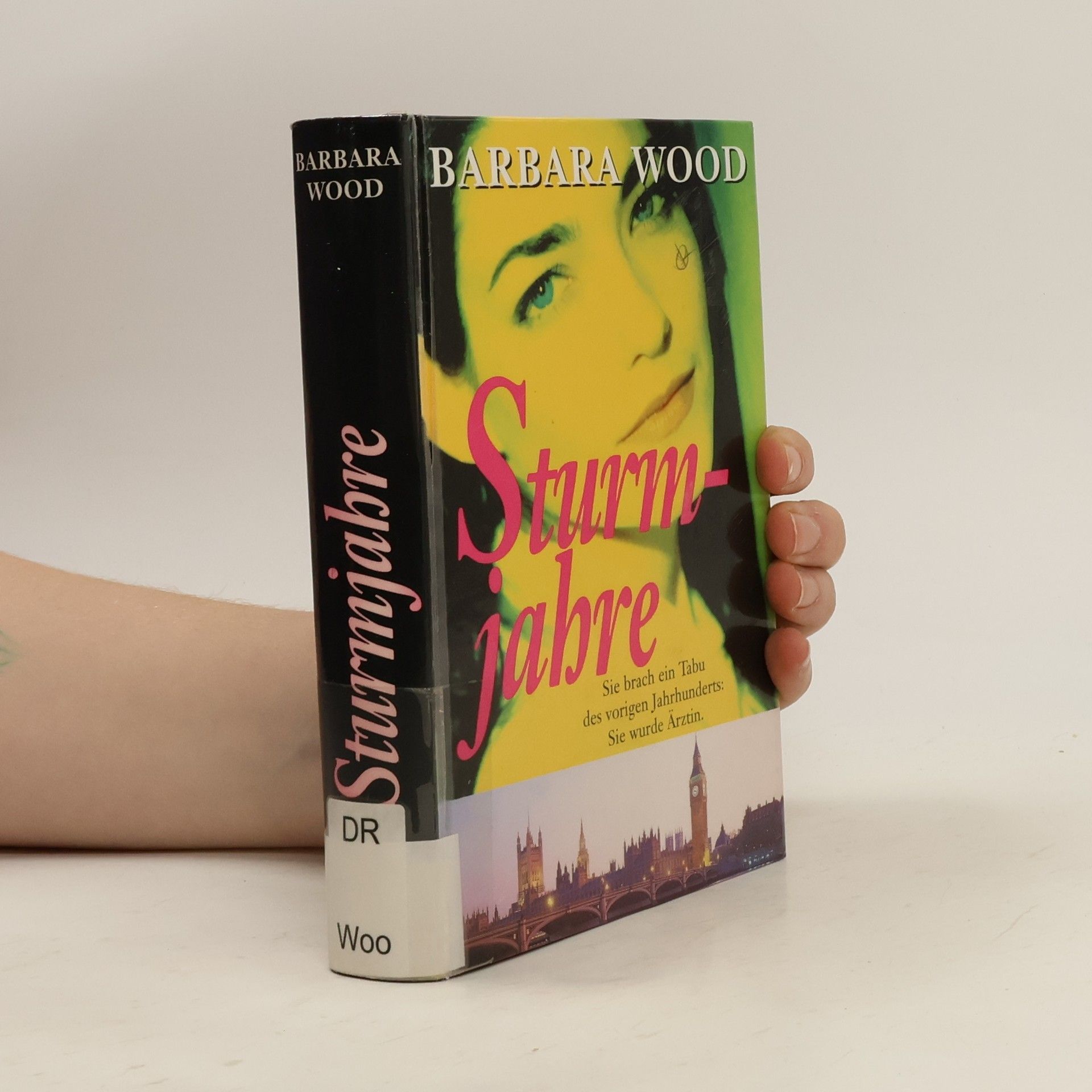 Barbara Wood Sturmjahre