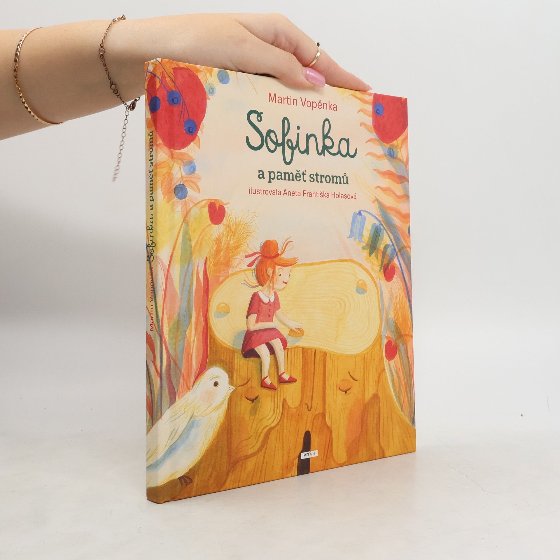 Sofinka a paměť stromů