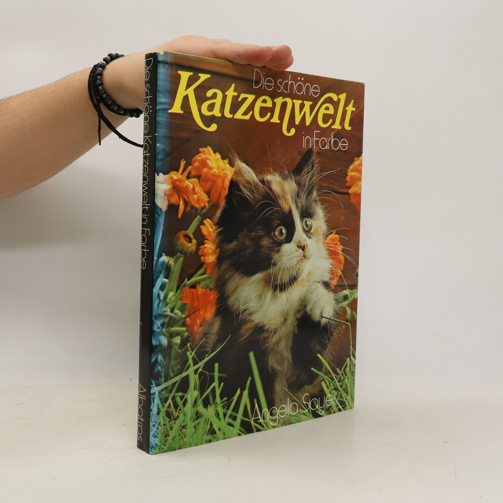 Auteurscollectief Die schöne Katzenwelt in Farbe