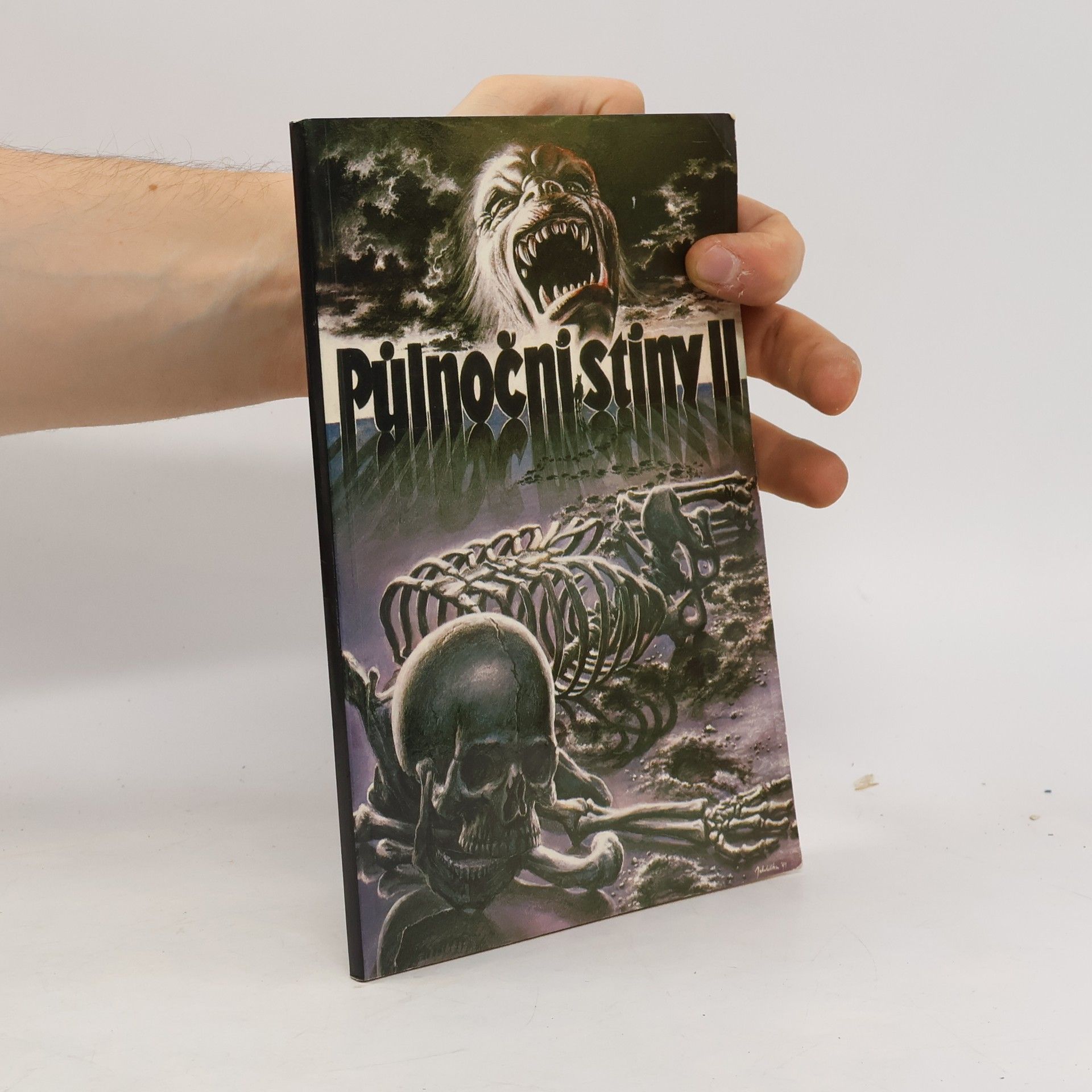 Půlnoční stíny II.