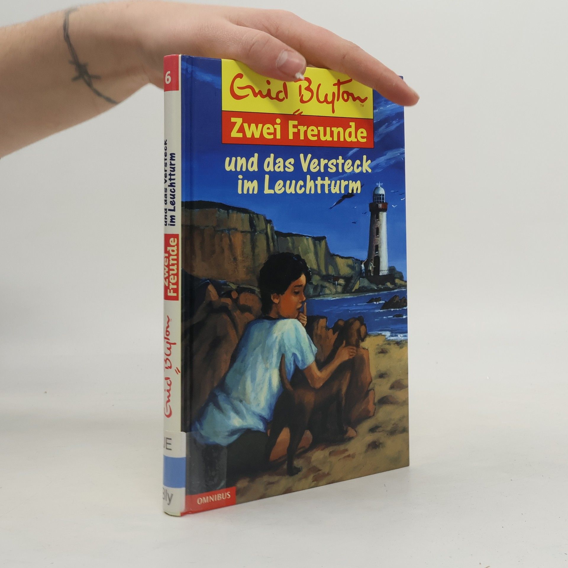 Enid Blyton Zwei Freunde und das Versteck im Leuchtturm