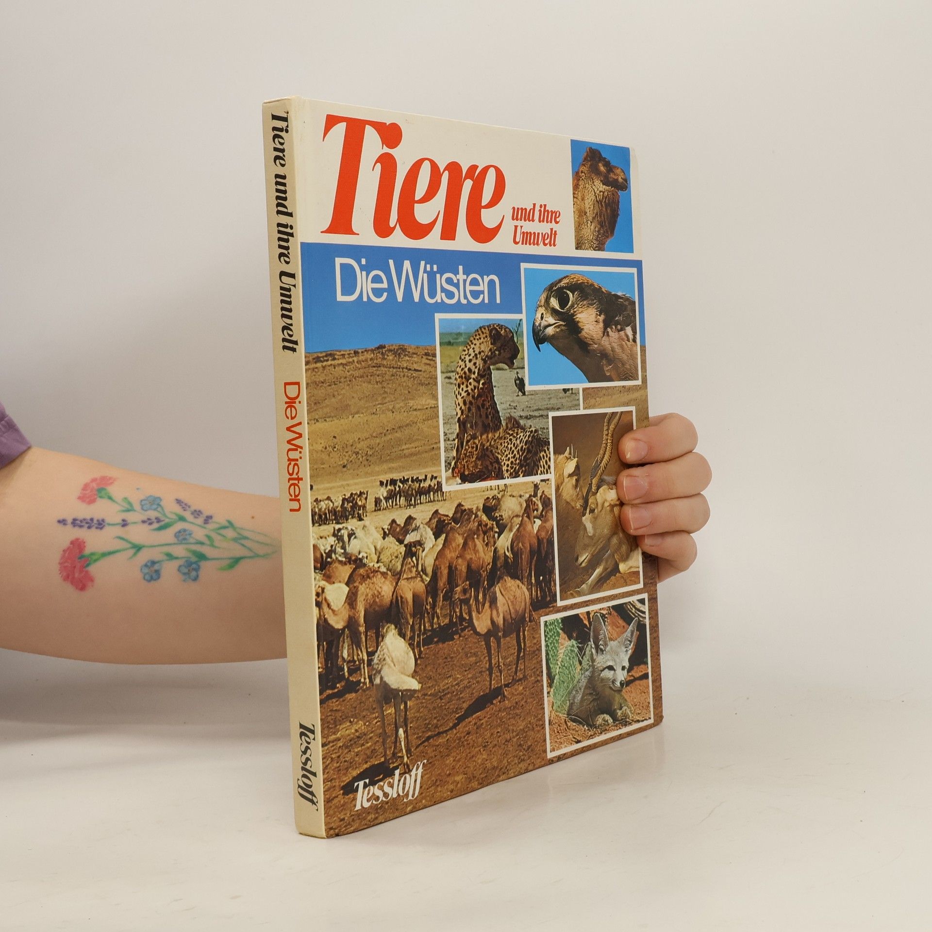 AA.VV. Spielend rechnen mit Mosaikbildern