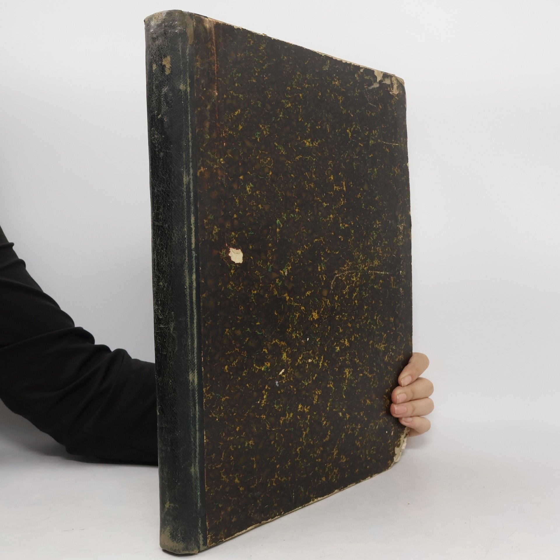 Fr. Ad. Šubert Čechy