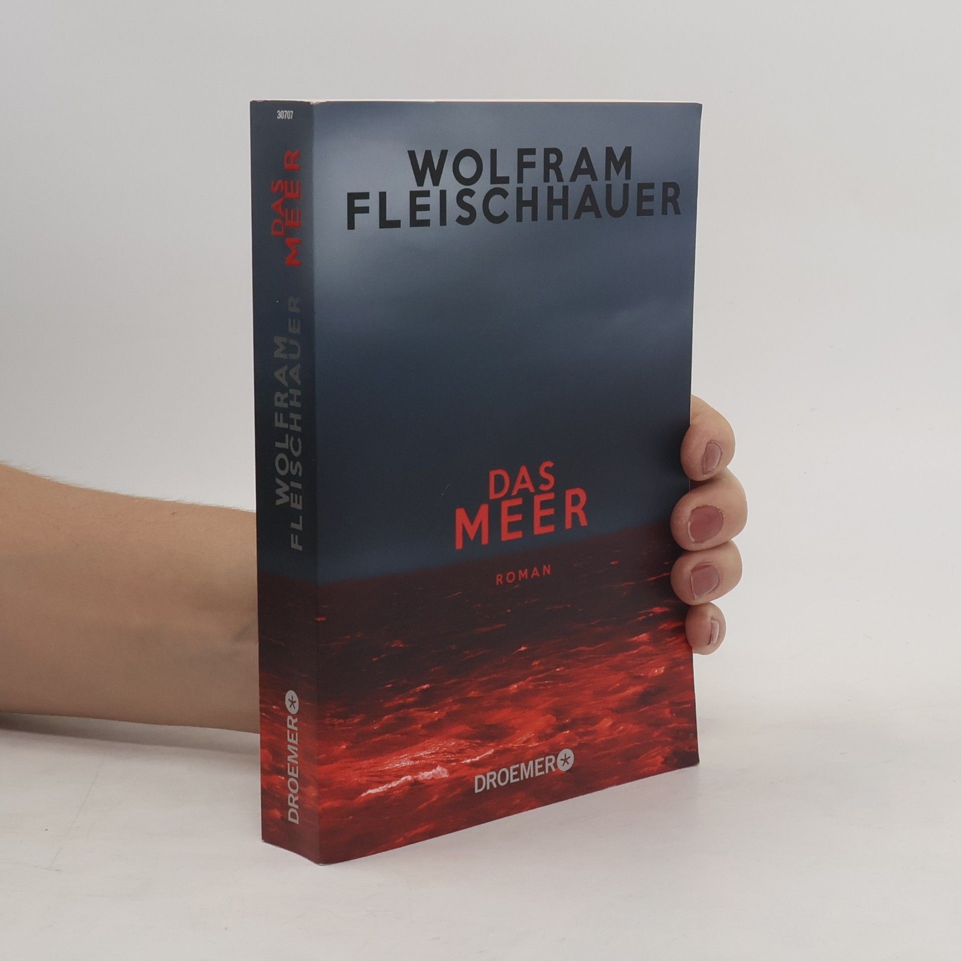 Wolfram Fleischhauer Das Meer