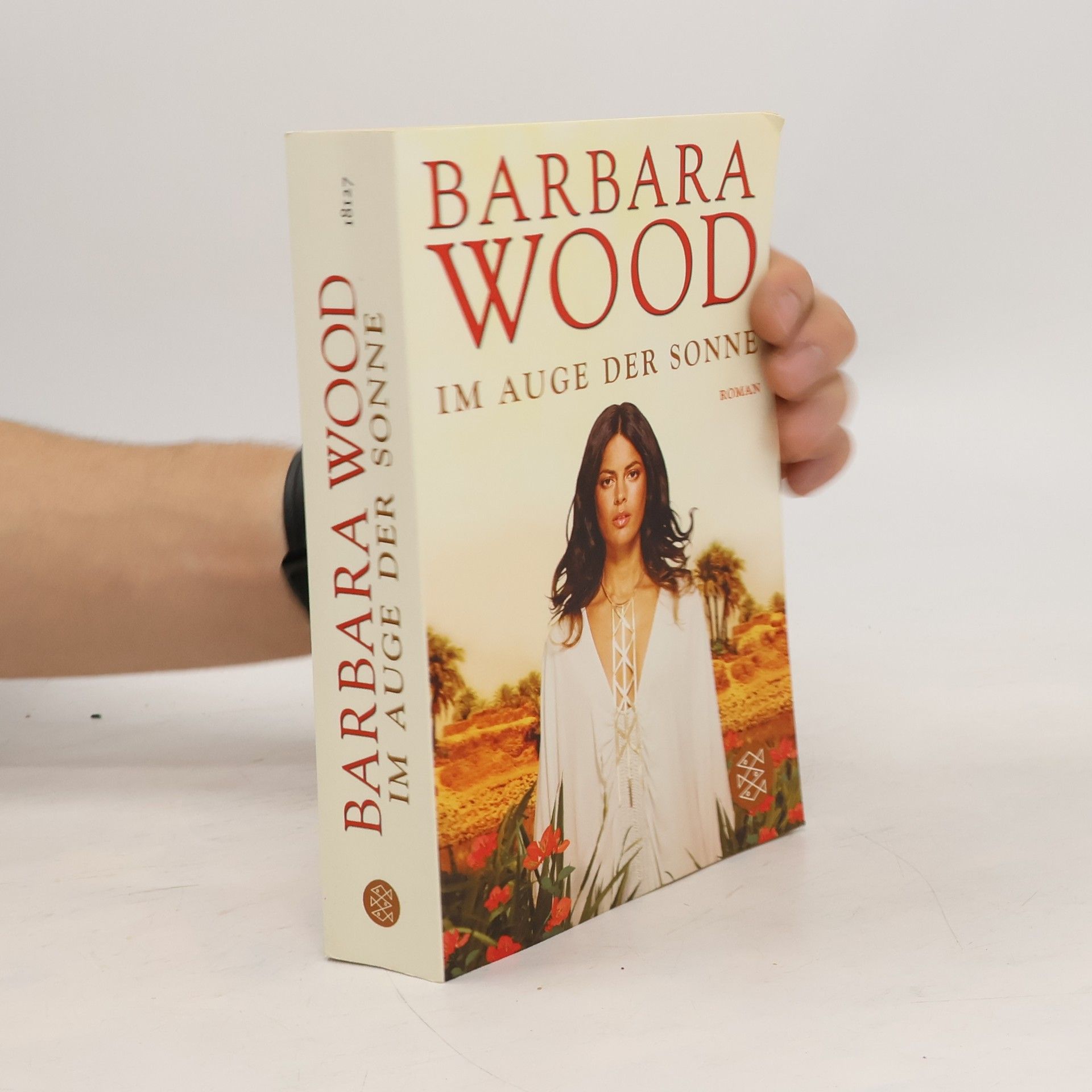 Barbara Wood Im Auge der Sonne