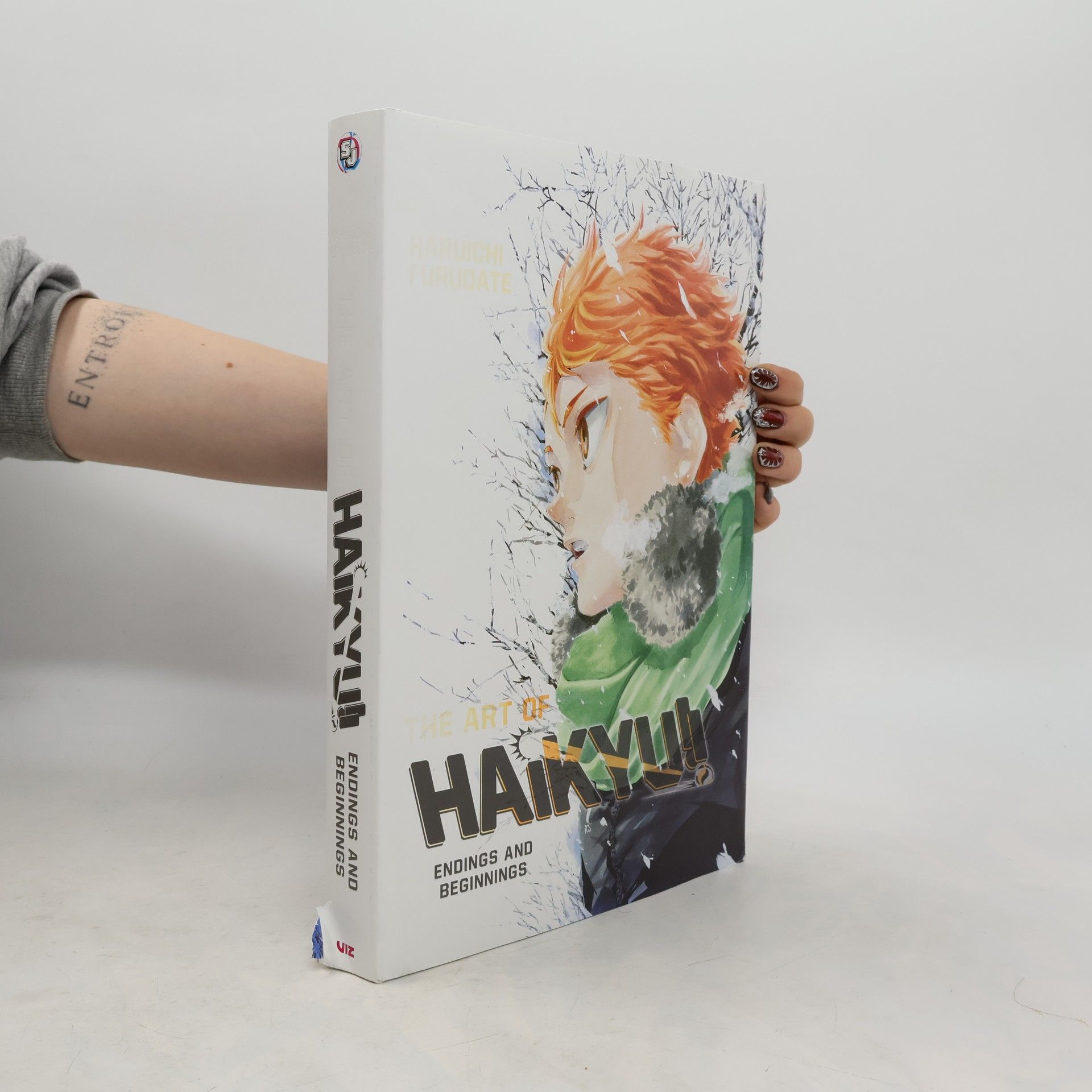 The Art of Haikyu!!