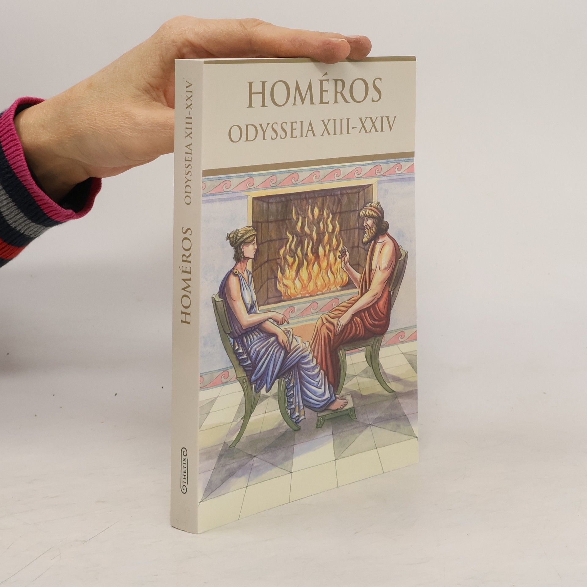 Homère Odysseia xiii-xxiv