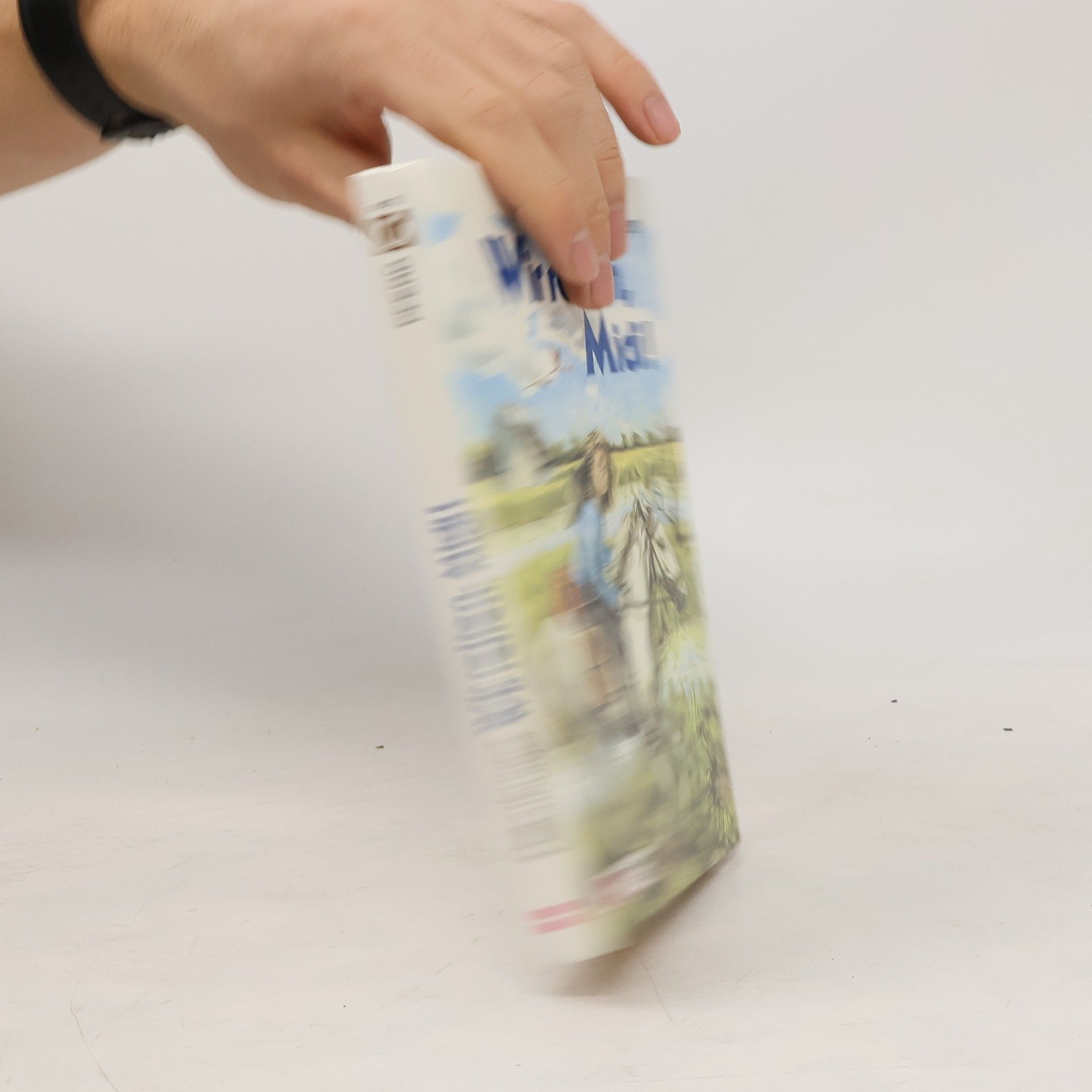 Katrin Dillenburger Wir reiten, Midi. Ein Mädchen, zwei Pferde und viele Kilometer.