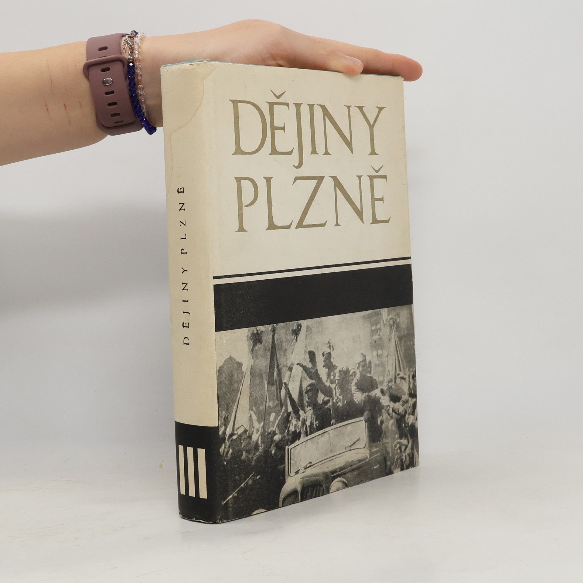 Auteurscollectief Dějiny Plzně III