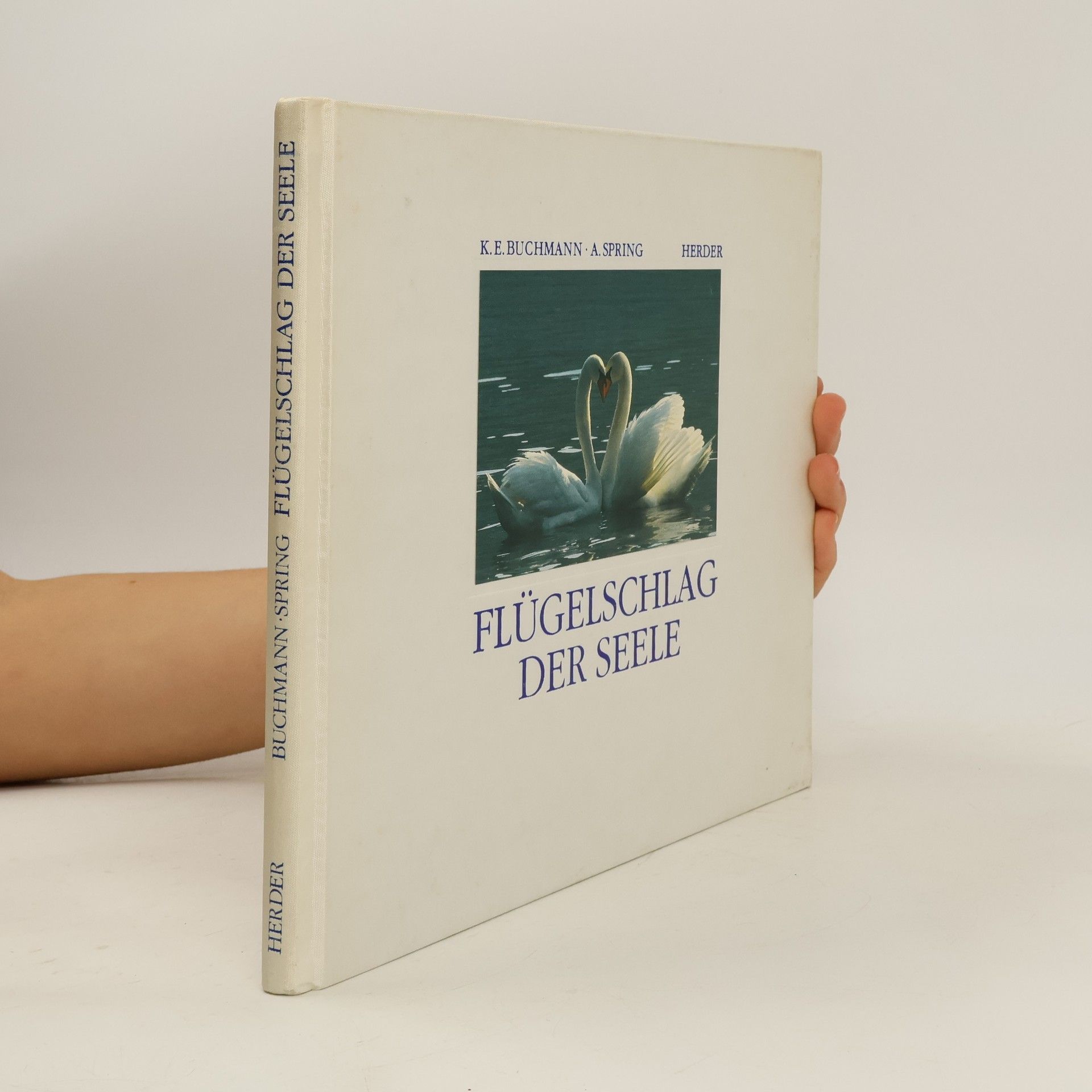 Flügelschlag der Seele