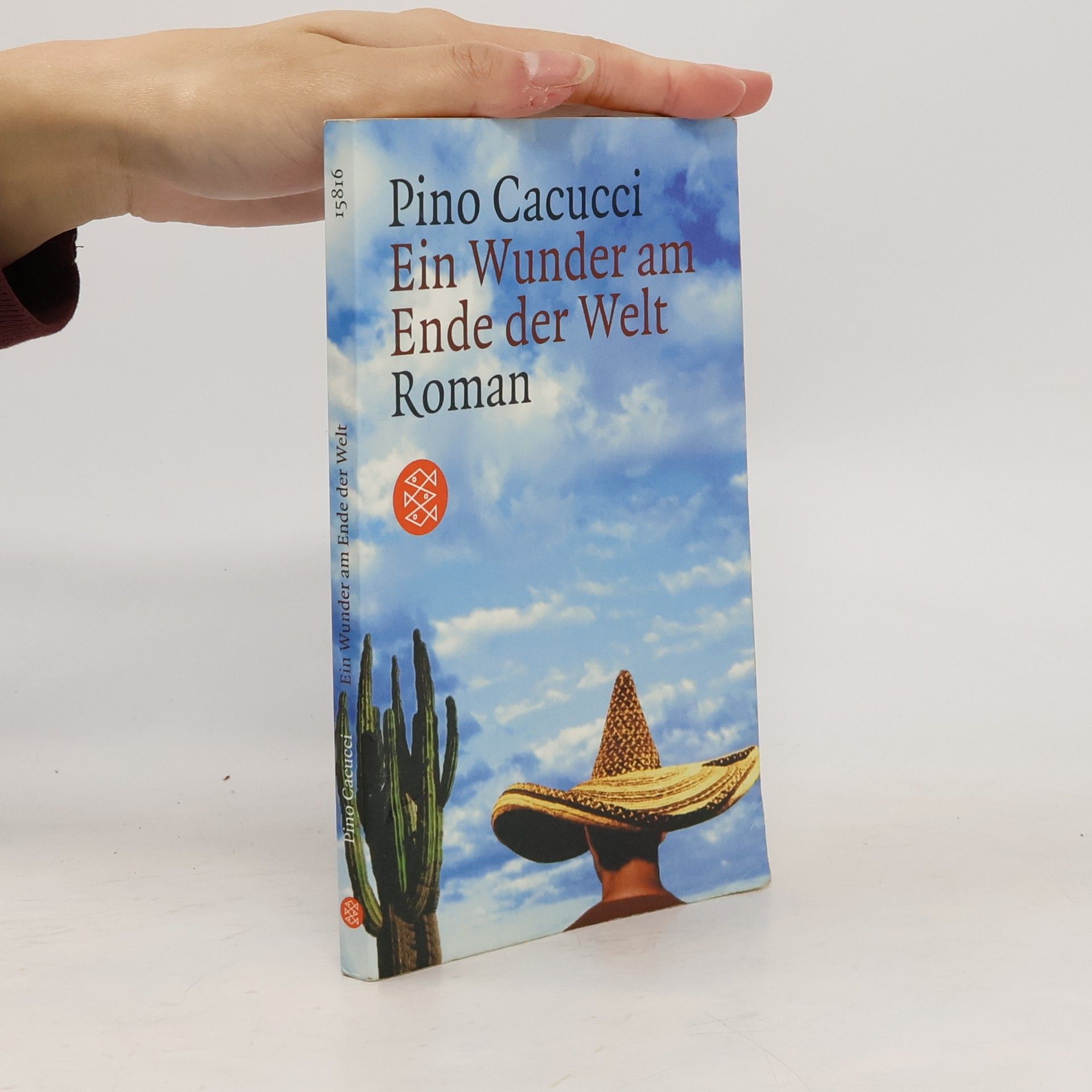 Pino Cacucci Ein Wunder am Ende der Welt