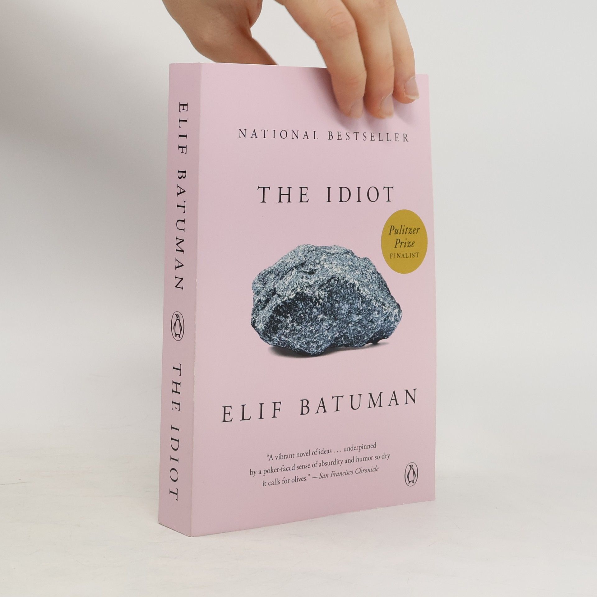 Elif Batuman The Idiot