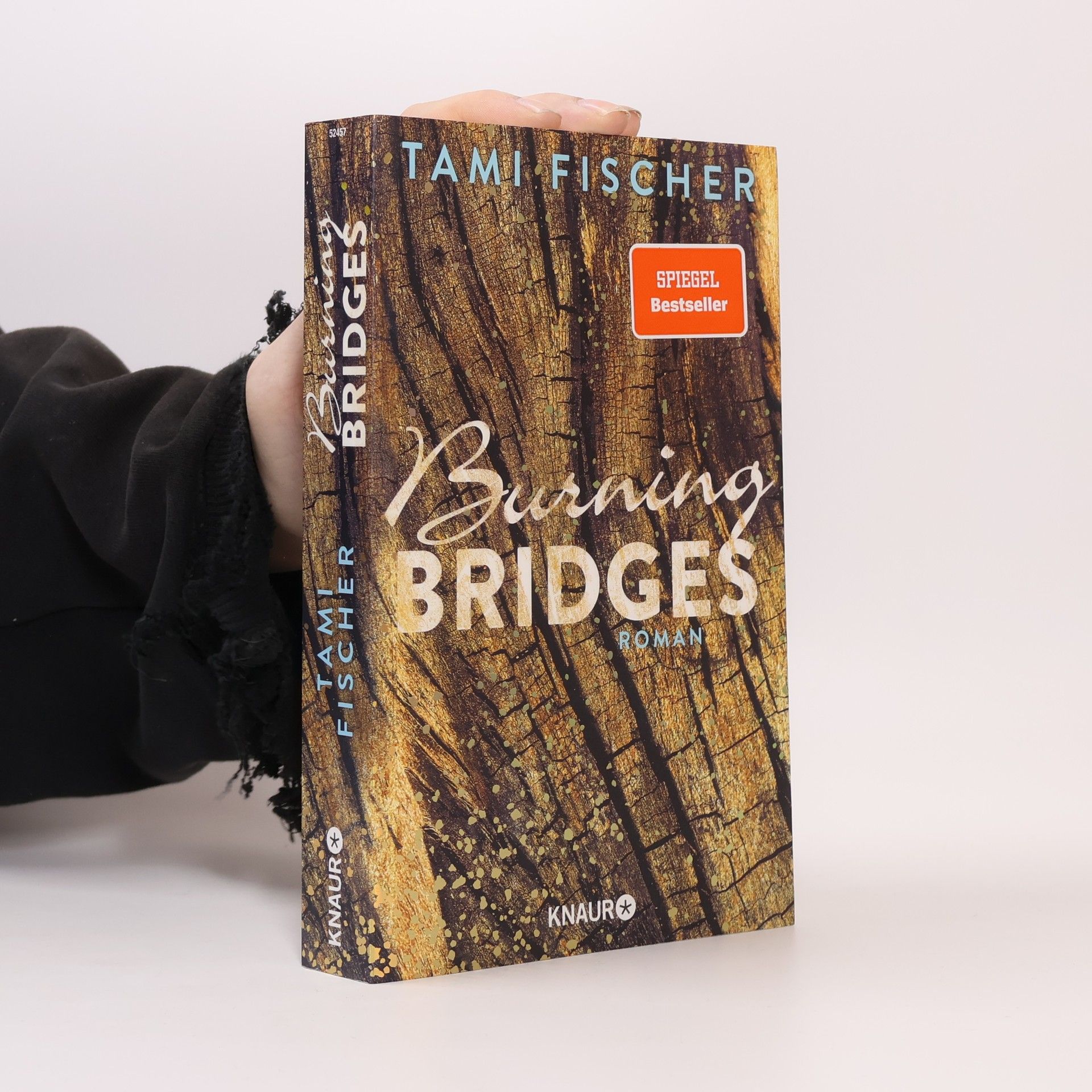 Tami Fischer Burning bridges