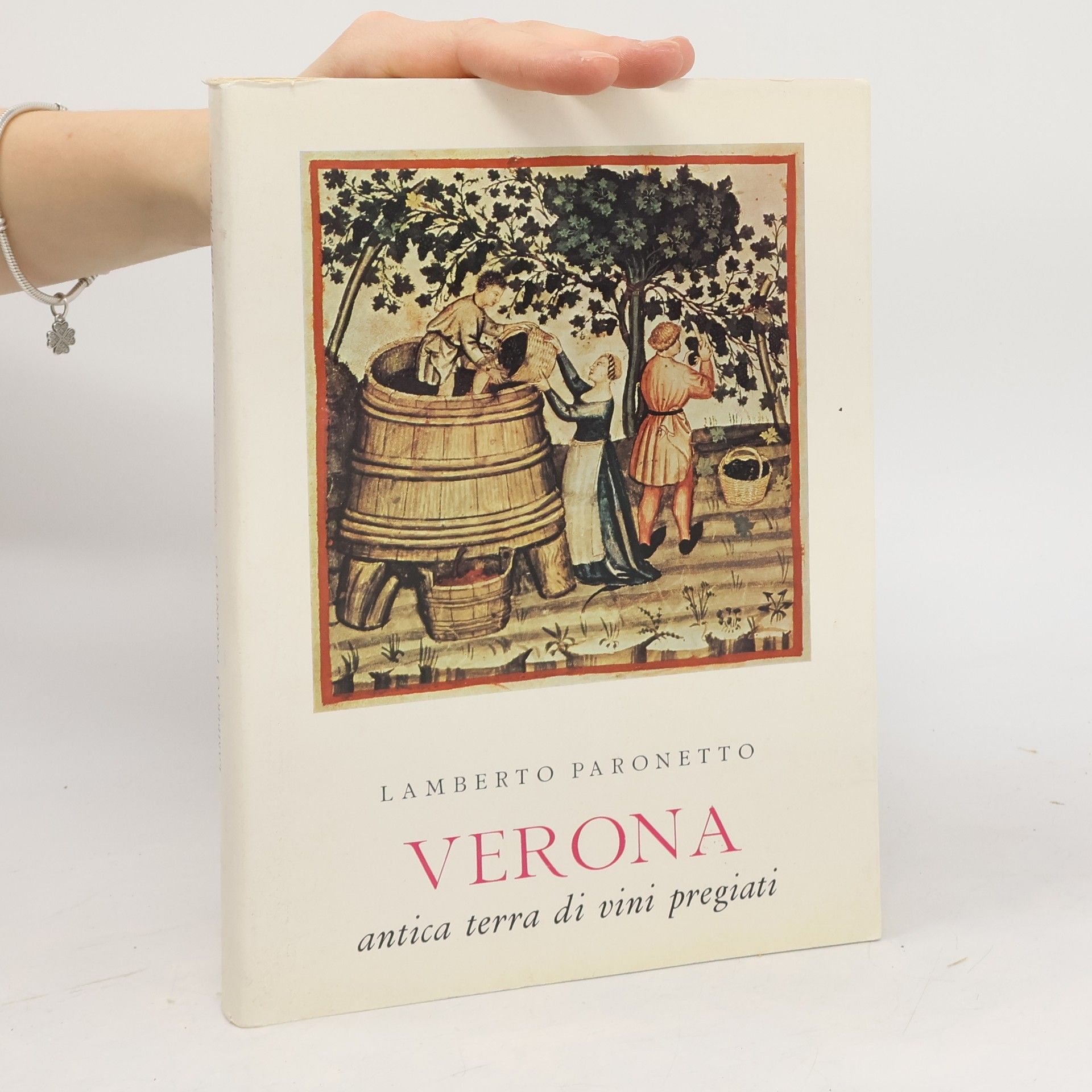 Lamberto Paronetto Verona, antica terra di vini pregiati