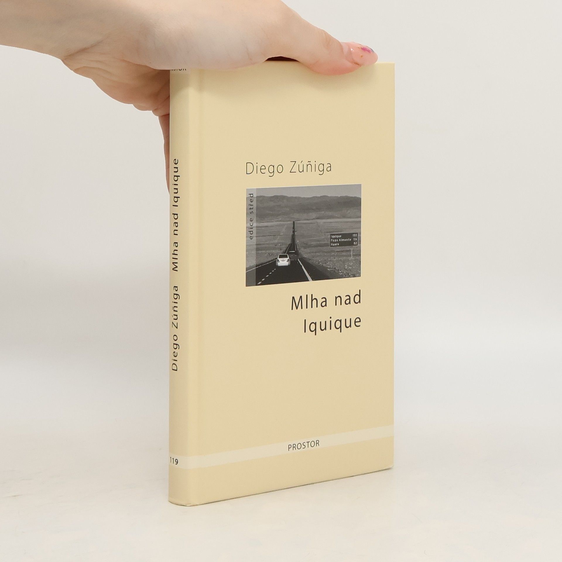 Diego Zúñiga Mlha nad Iquique