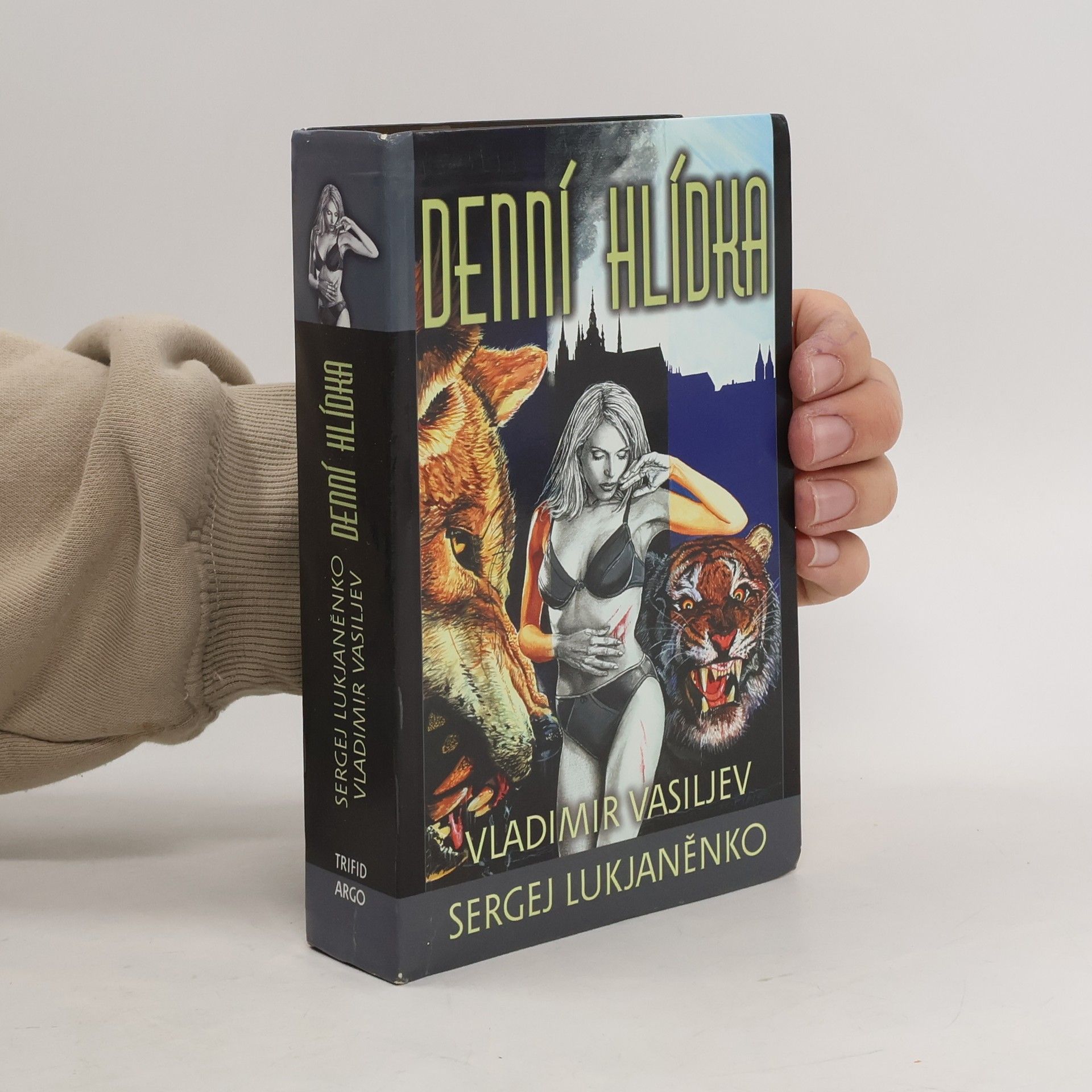 Sergej Lukjaněnko Denní hlídka