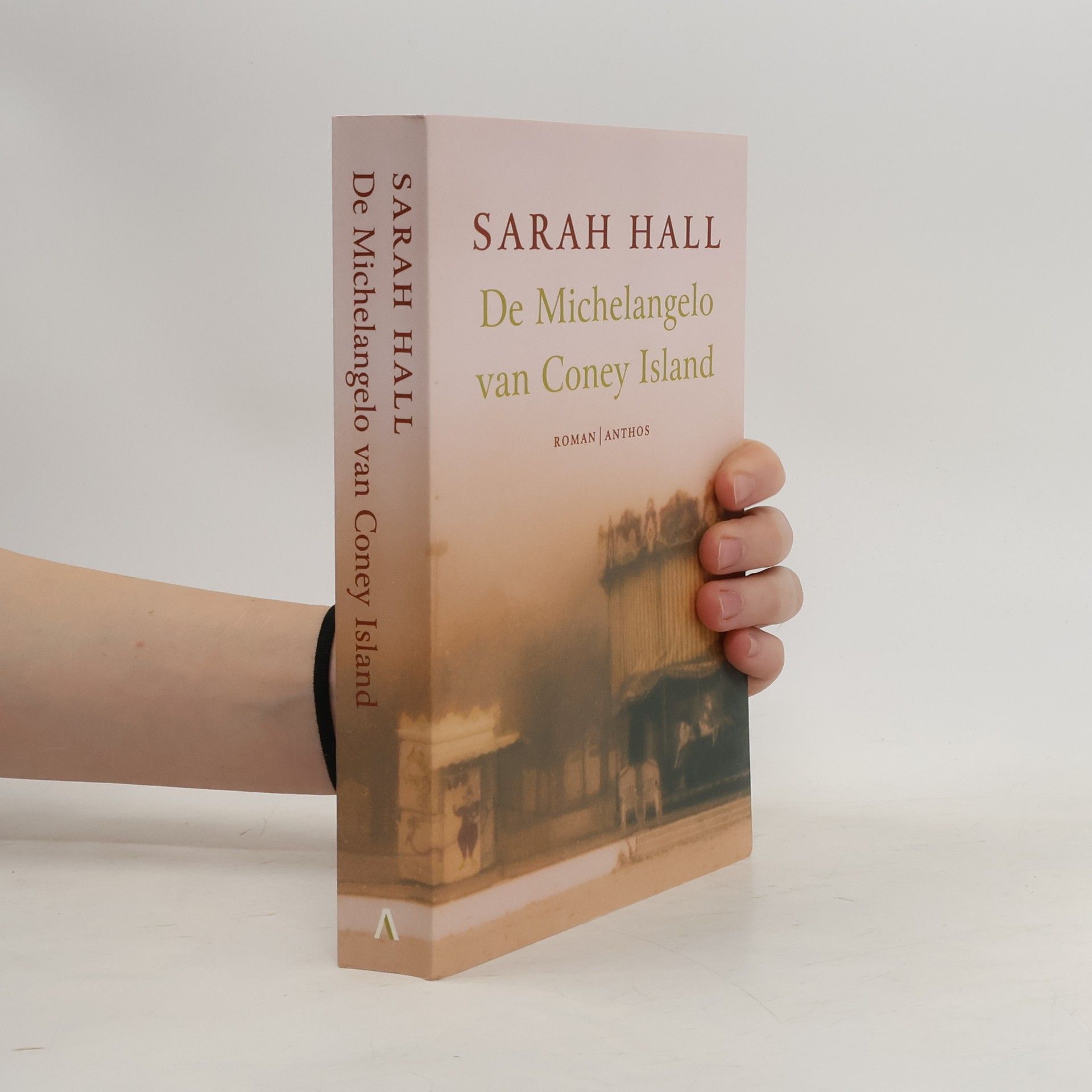 Sarah Hall De Michelangelo van Coney Island