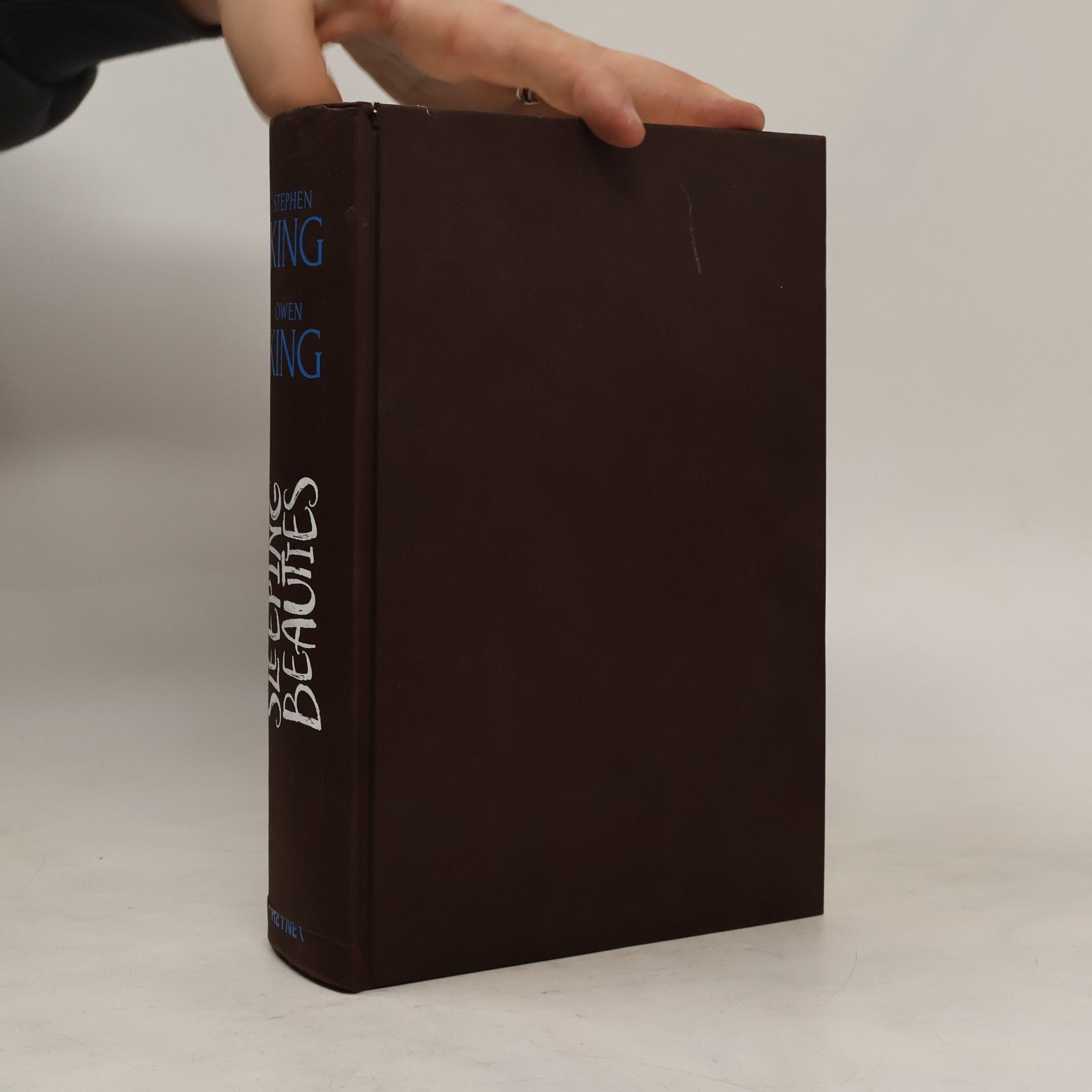 Stephen King Sleeping beauties