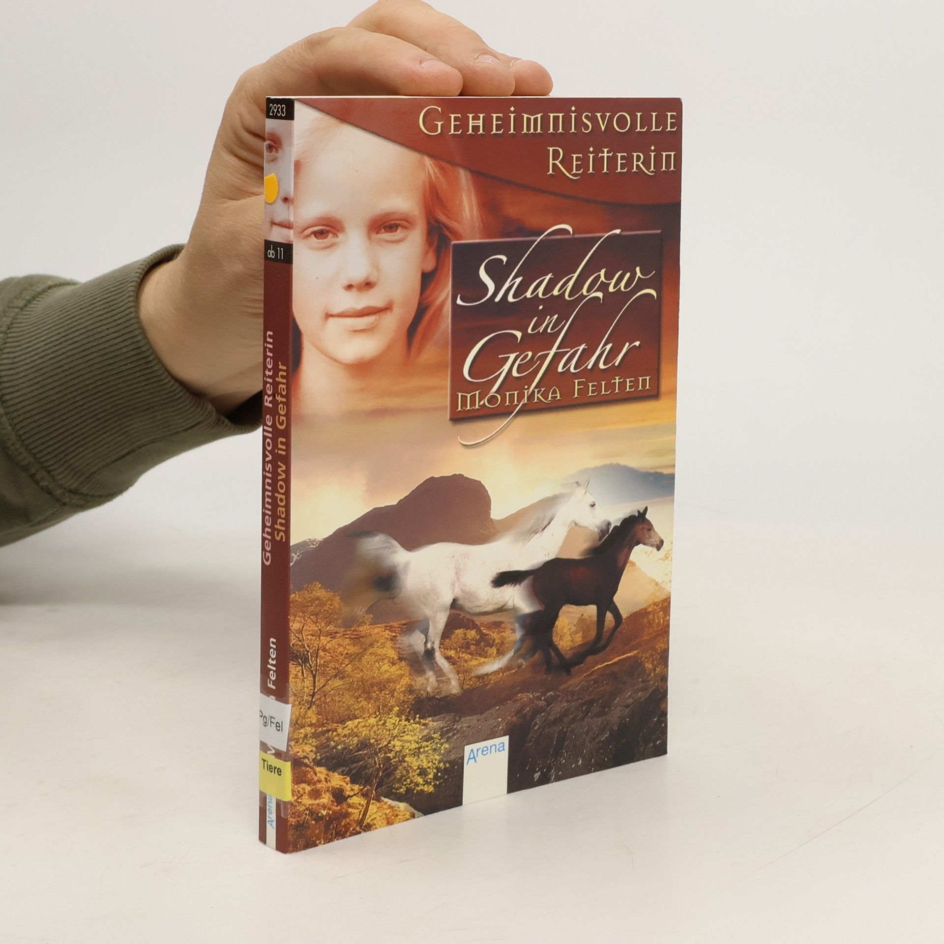 Monika Felten Geheimnisvolle Reiterin. Shadow in Gefahr