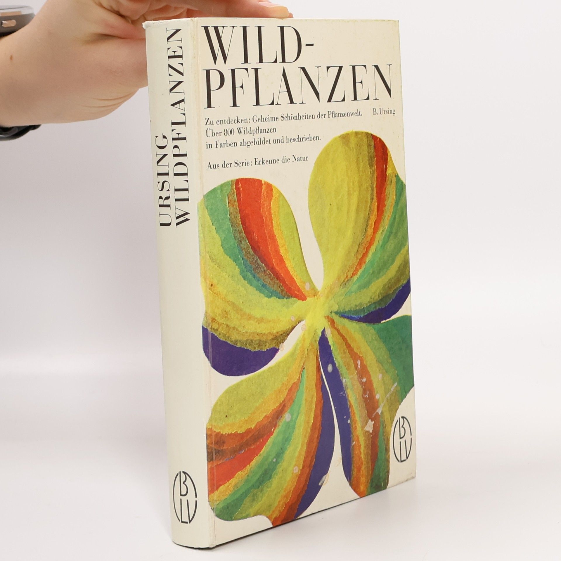 B. Ursing Wildpflanzen