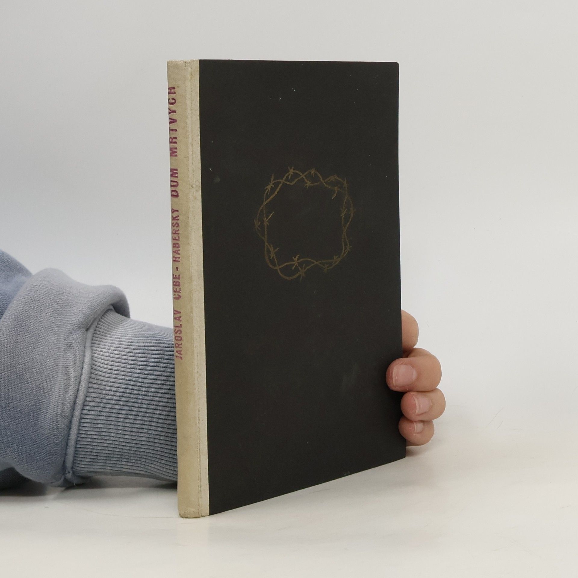 Jaroslav Cebe Haberský Dům mrtvých. Věznice Moabit a Plőtzensee 1940-1942