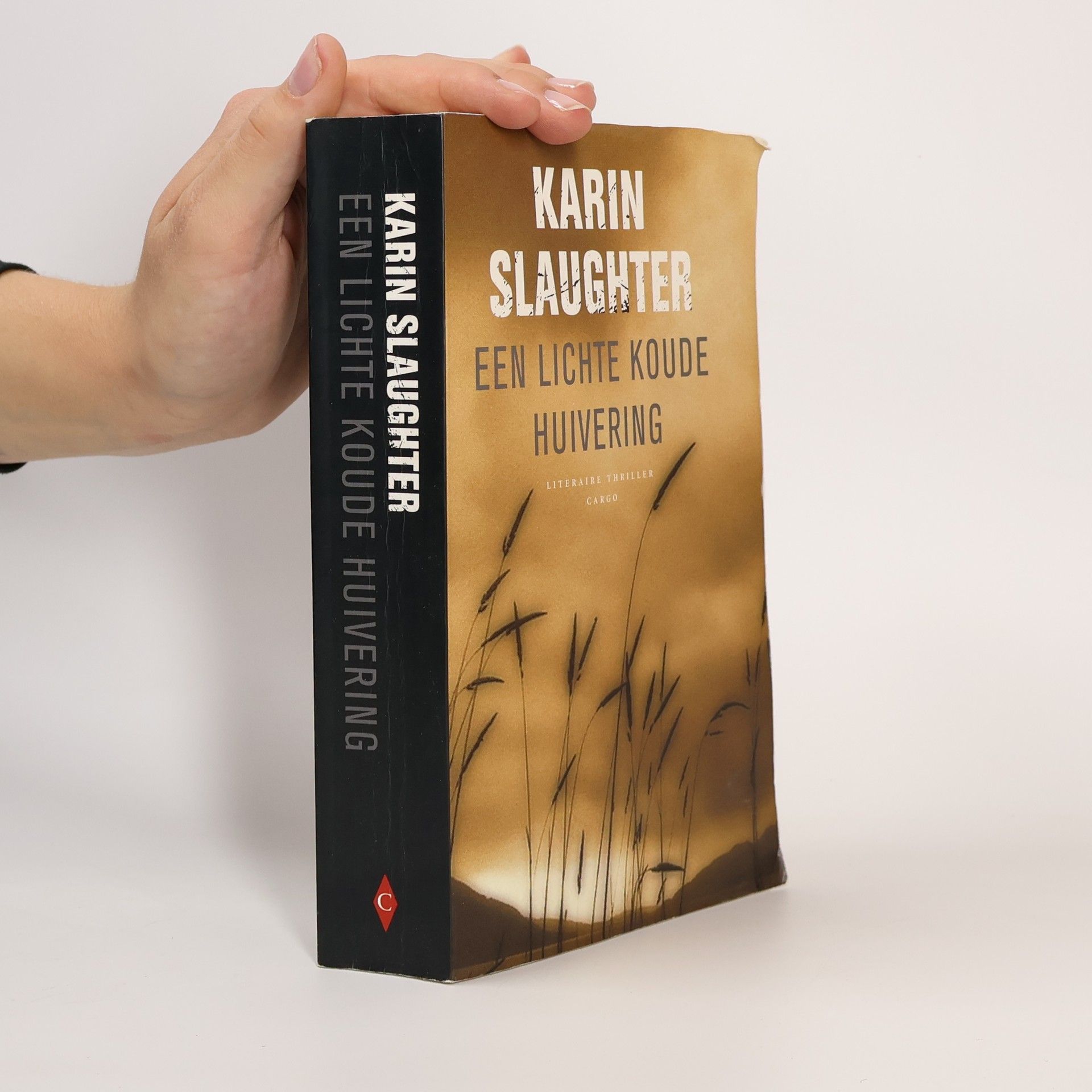 Karin Slaughter Een lichte koude huivering