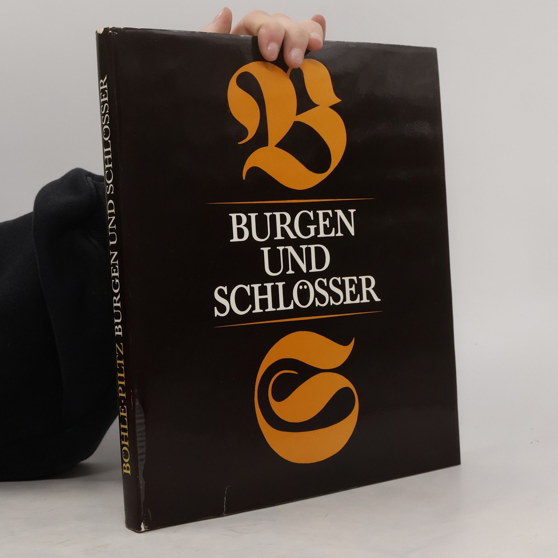 Georg Piltz Burgen und Schlösser