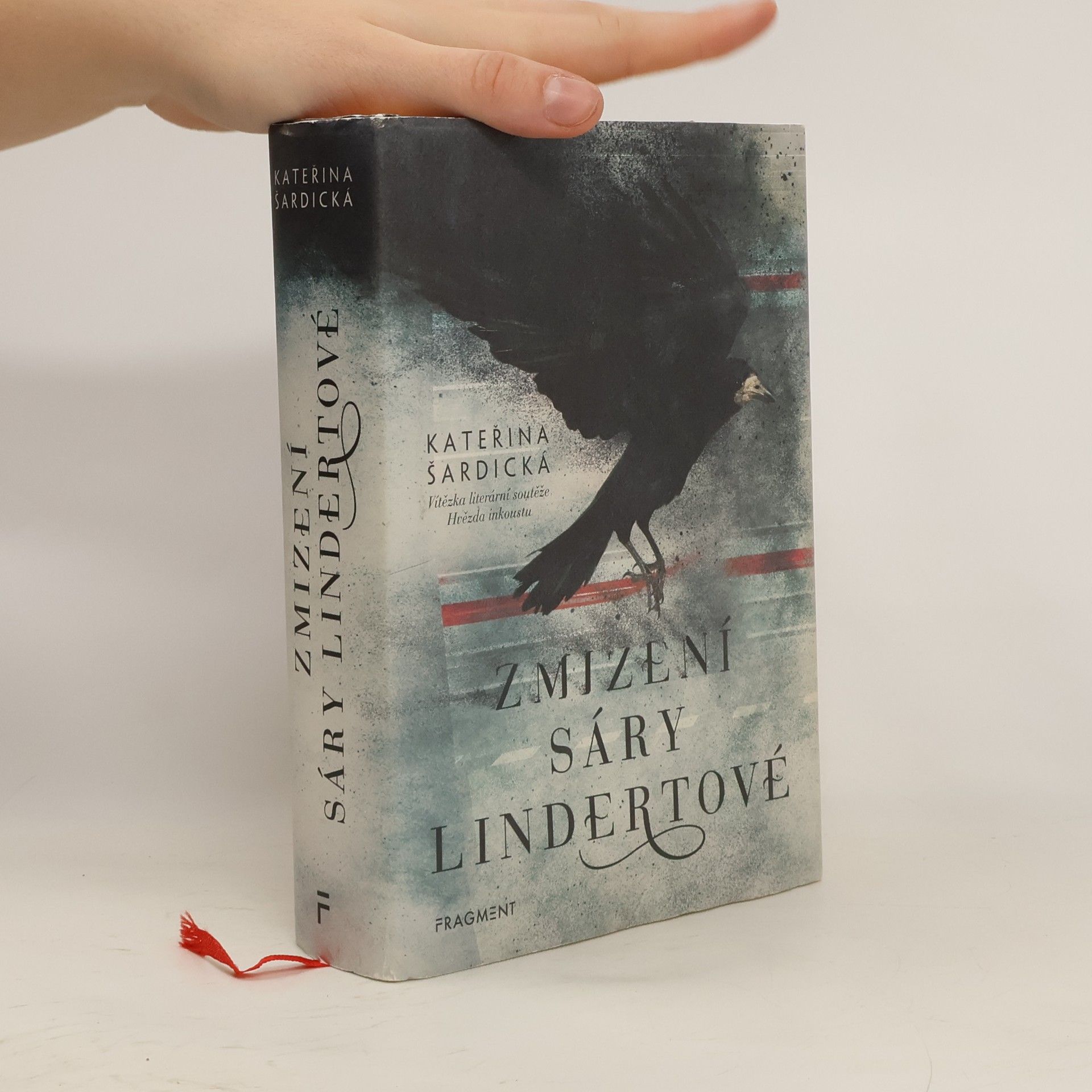 Zmizení Sáry Lindertové