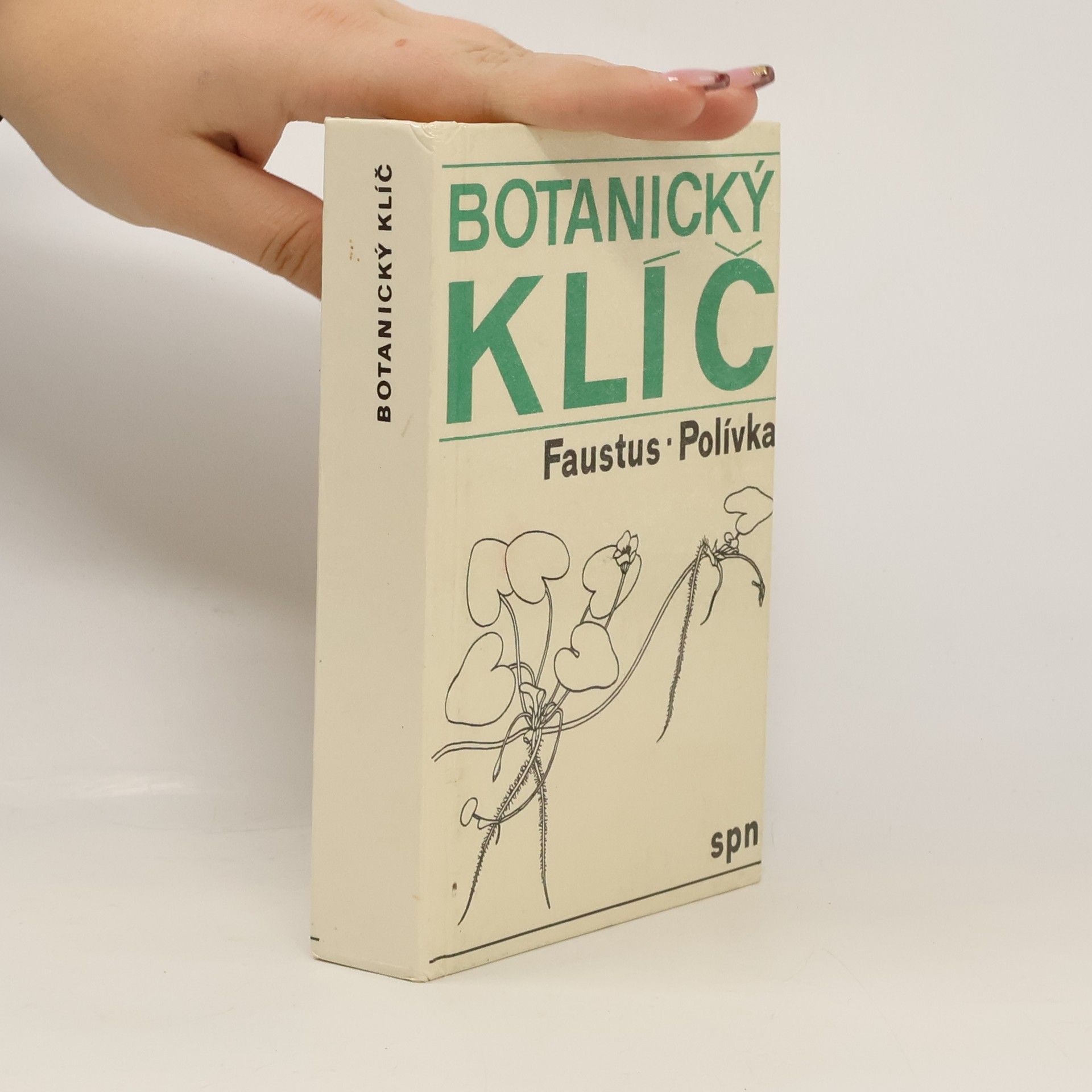 Botanický klíč
