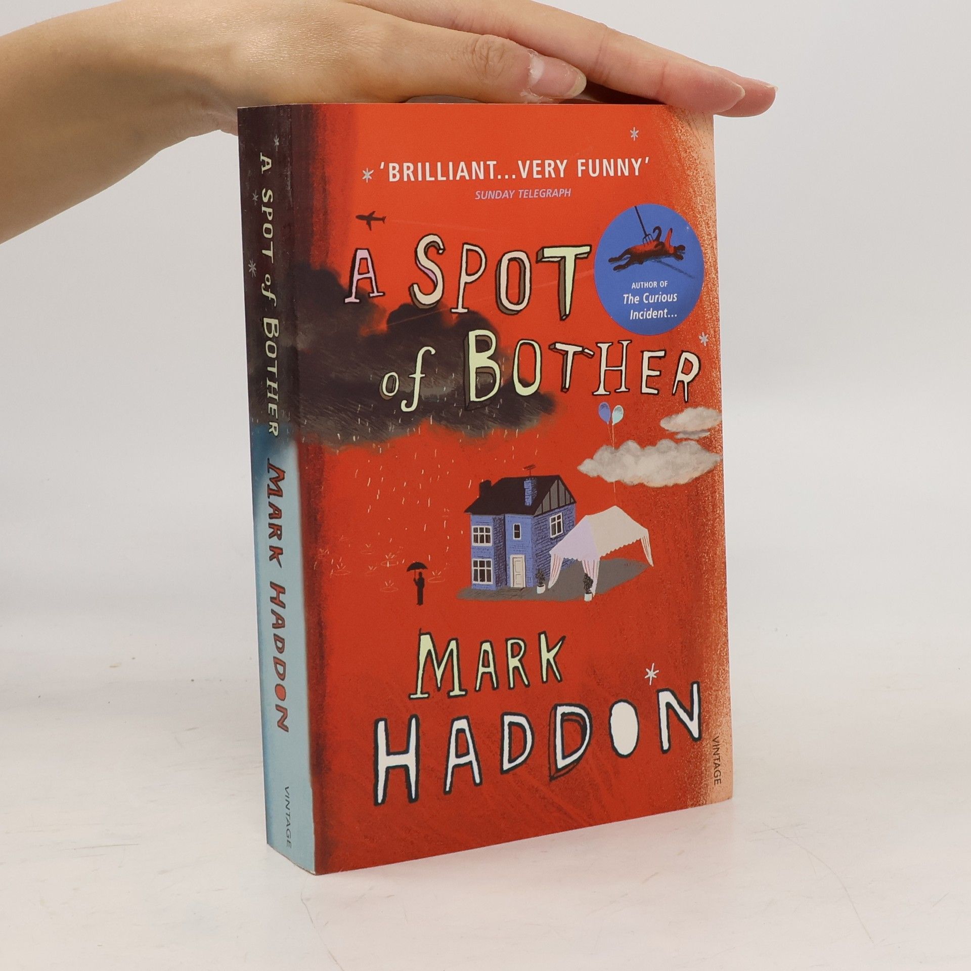 Mark Haddon A spot of bother