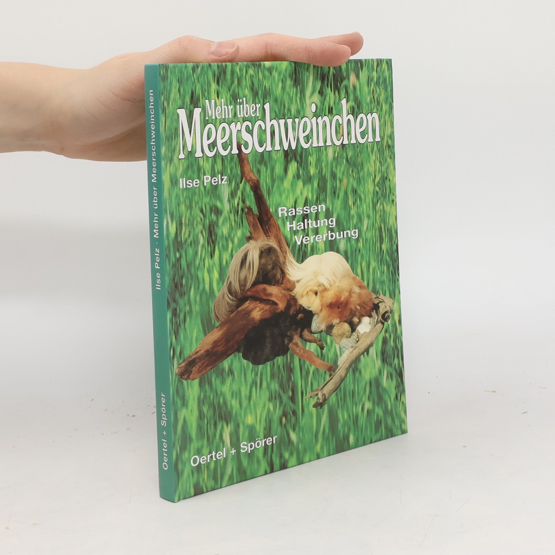Mehr über Meerschweinchen