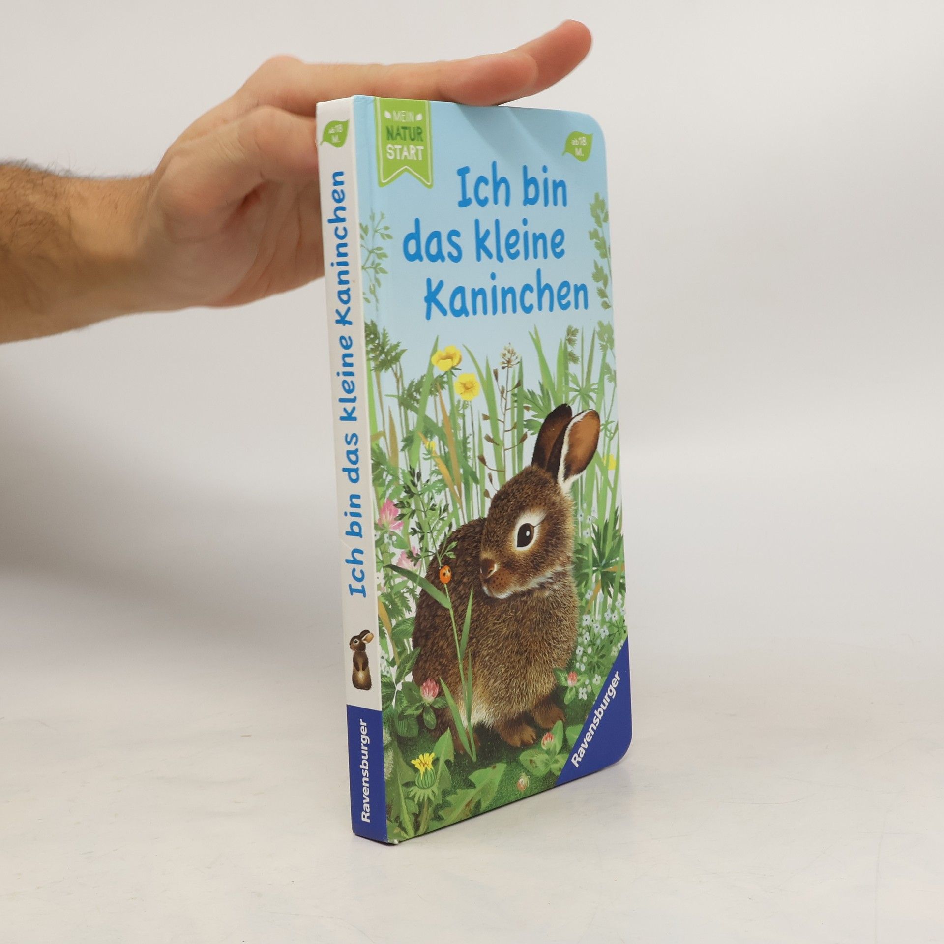 Gerlinde Wiencirz Ich bin das kleine Kaninchen