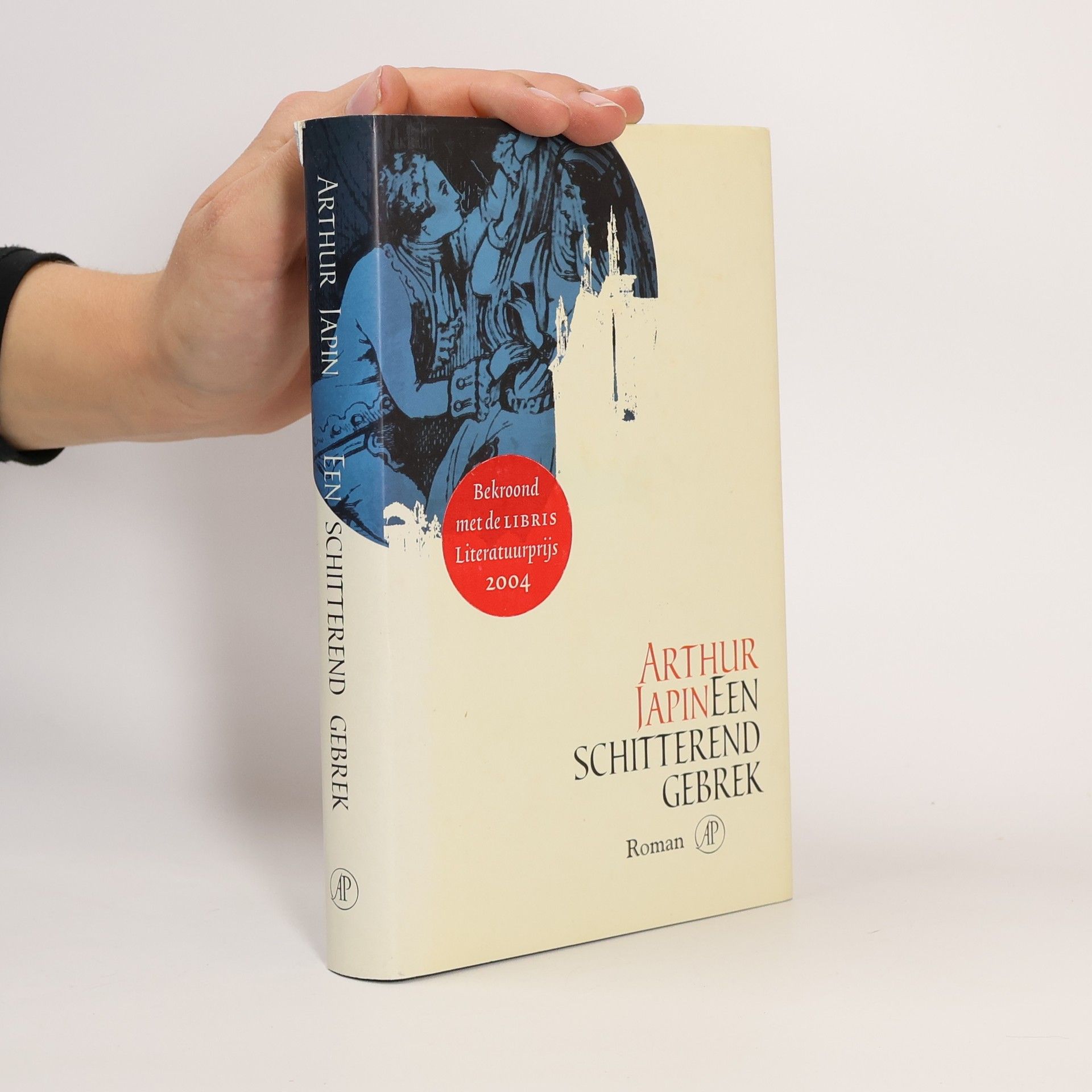 Een schitterend gebrek : roman