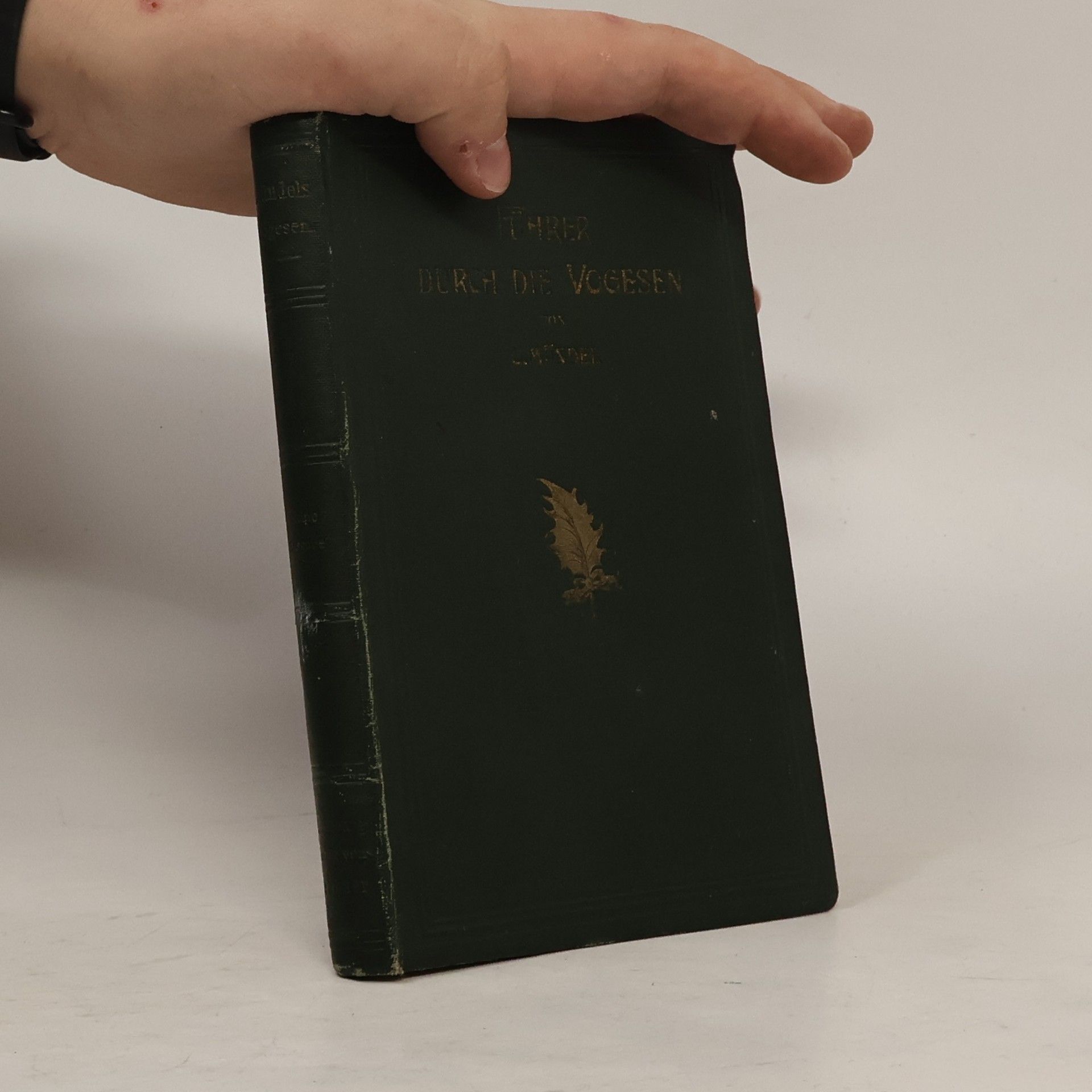 Curt Mündel Führer durch die Vogesen