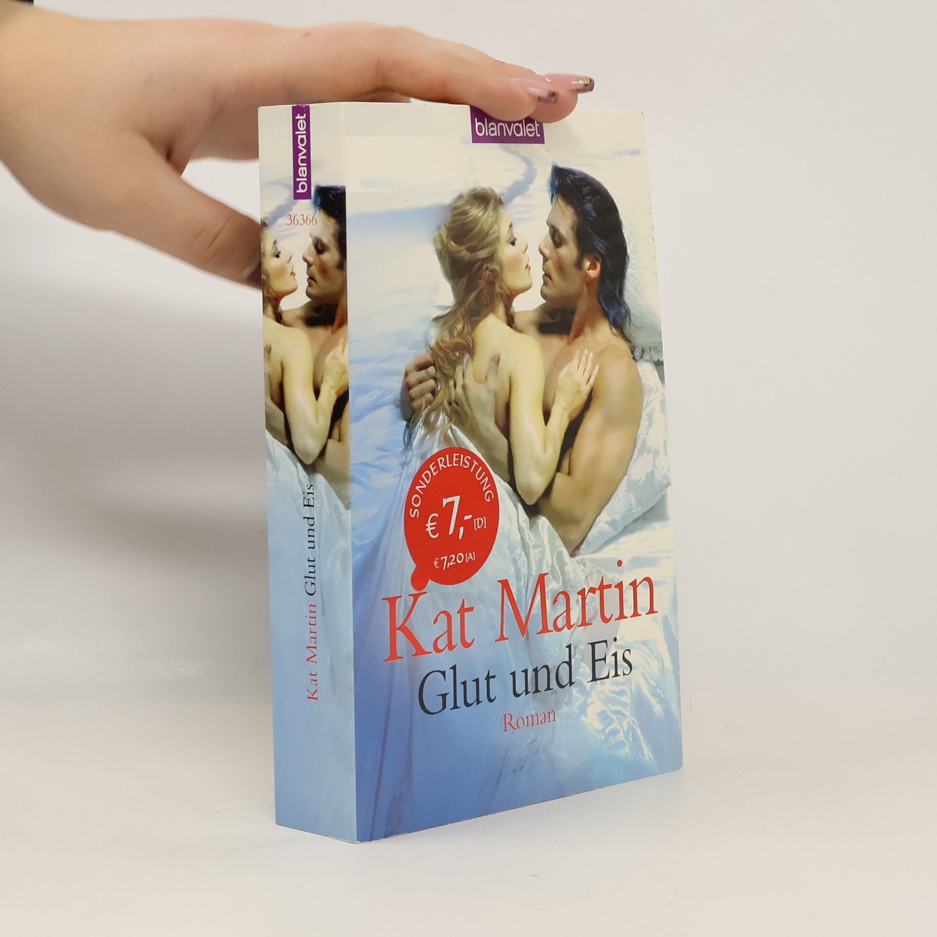 Kat Martin Glut und Eis. Roman