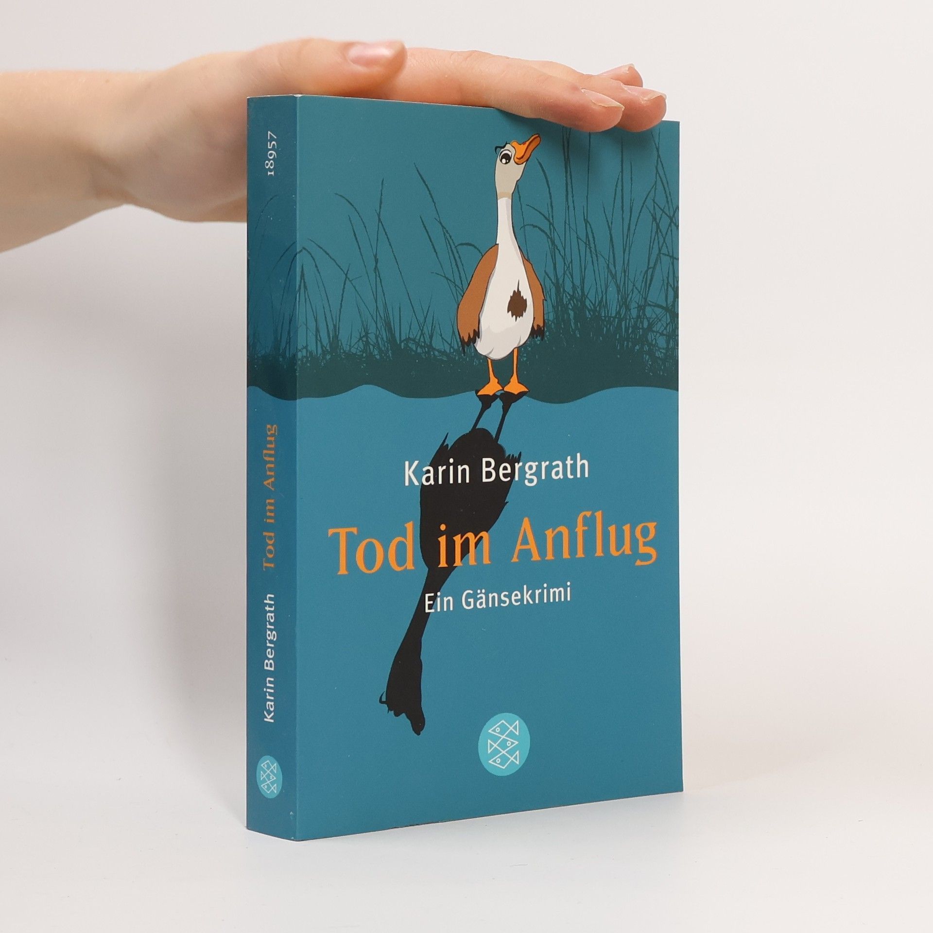 Karin Bergrath Tod im Anflug