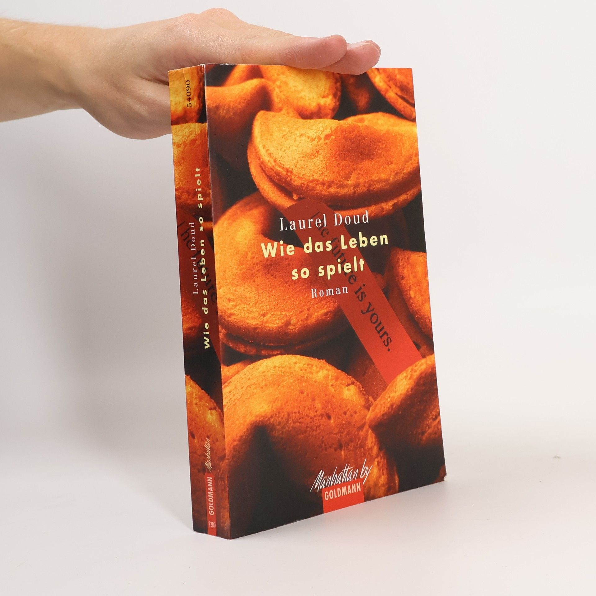 Laurel Doud Wie das Leben so spielt. Roman. Aus d. Amerikan. v. Christoph Göhler