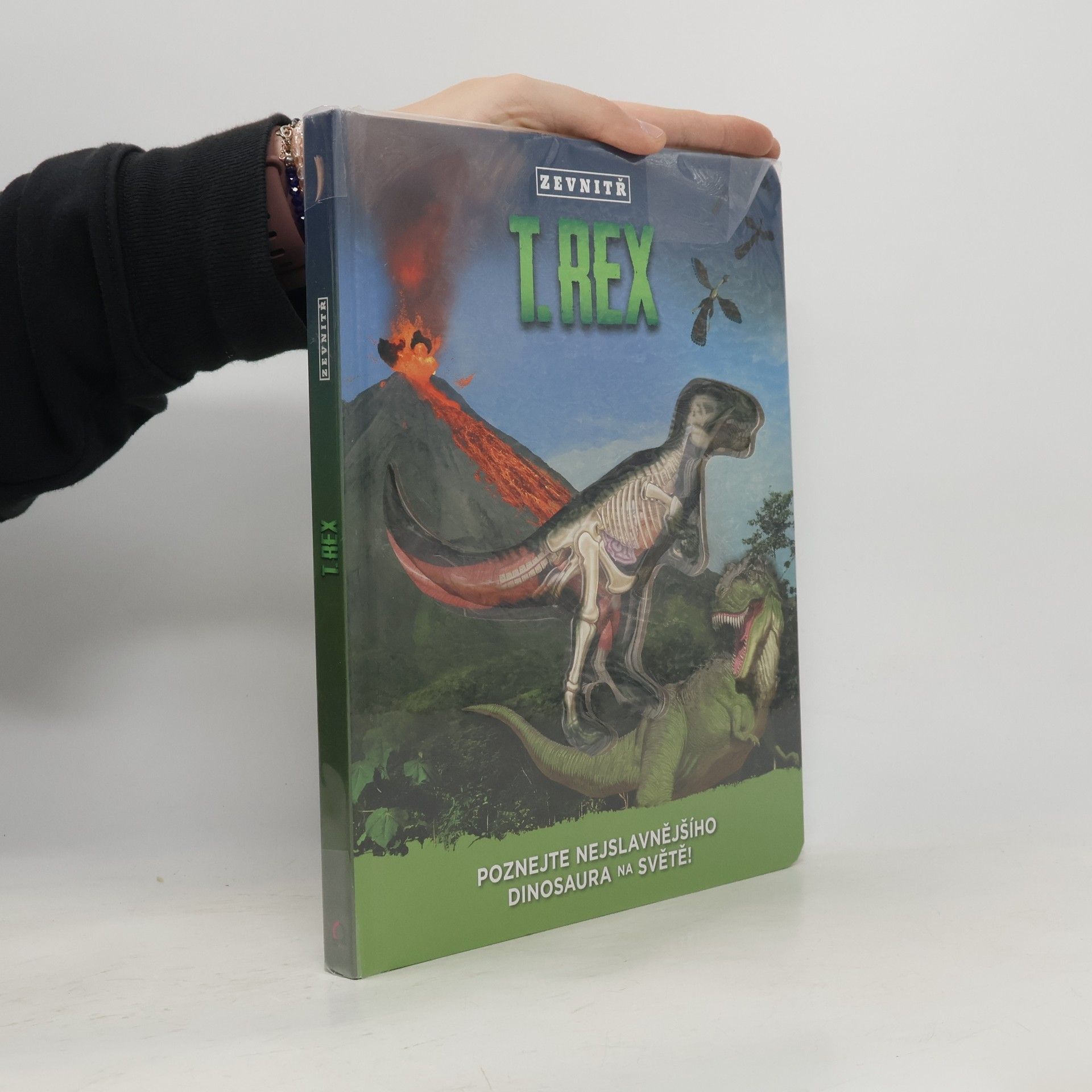 T-Rex zevnitř: Poznej nejslavnějšího dinosaura na světě!