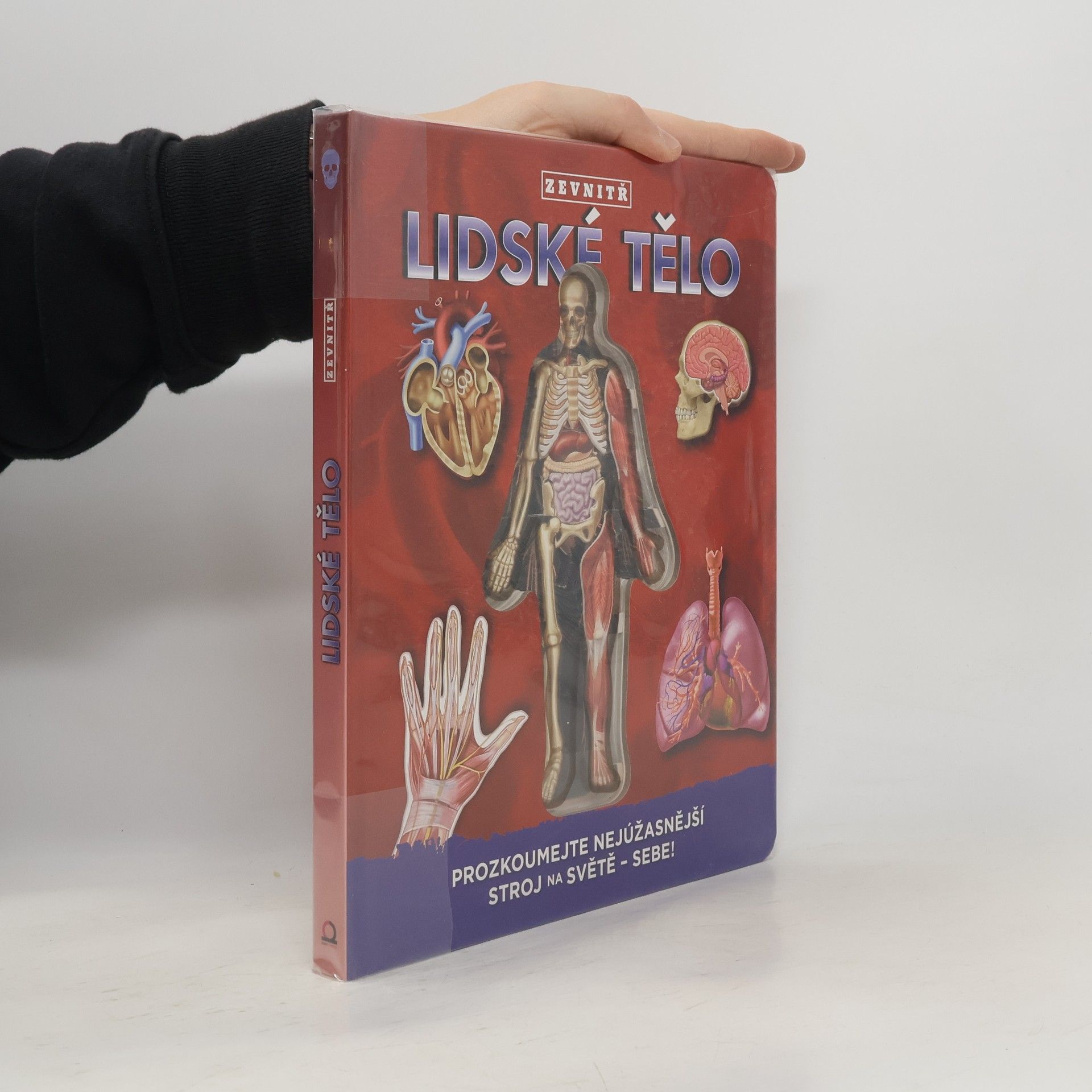 Luann Colombo Lidské tělo zevnitř