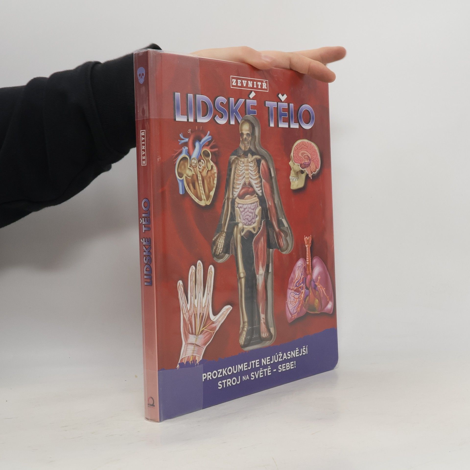 Luann Colombo Lidské tělo zevnitř