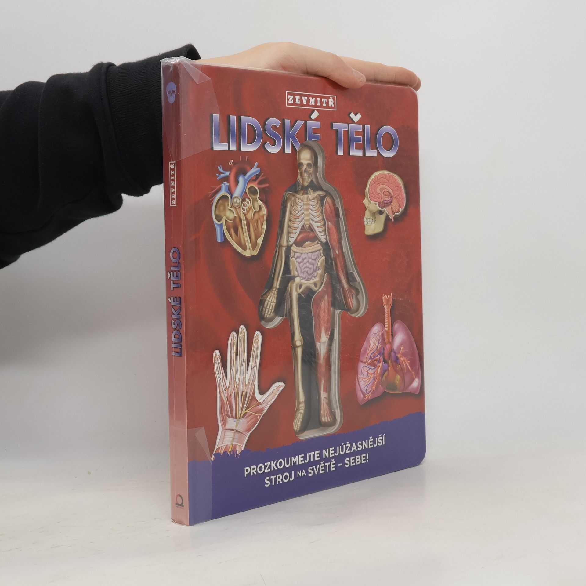 Luann Colombo Lidské tělo zevnitř