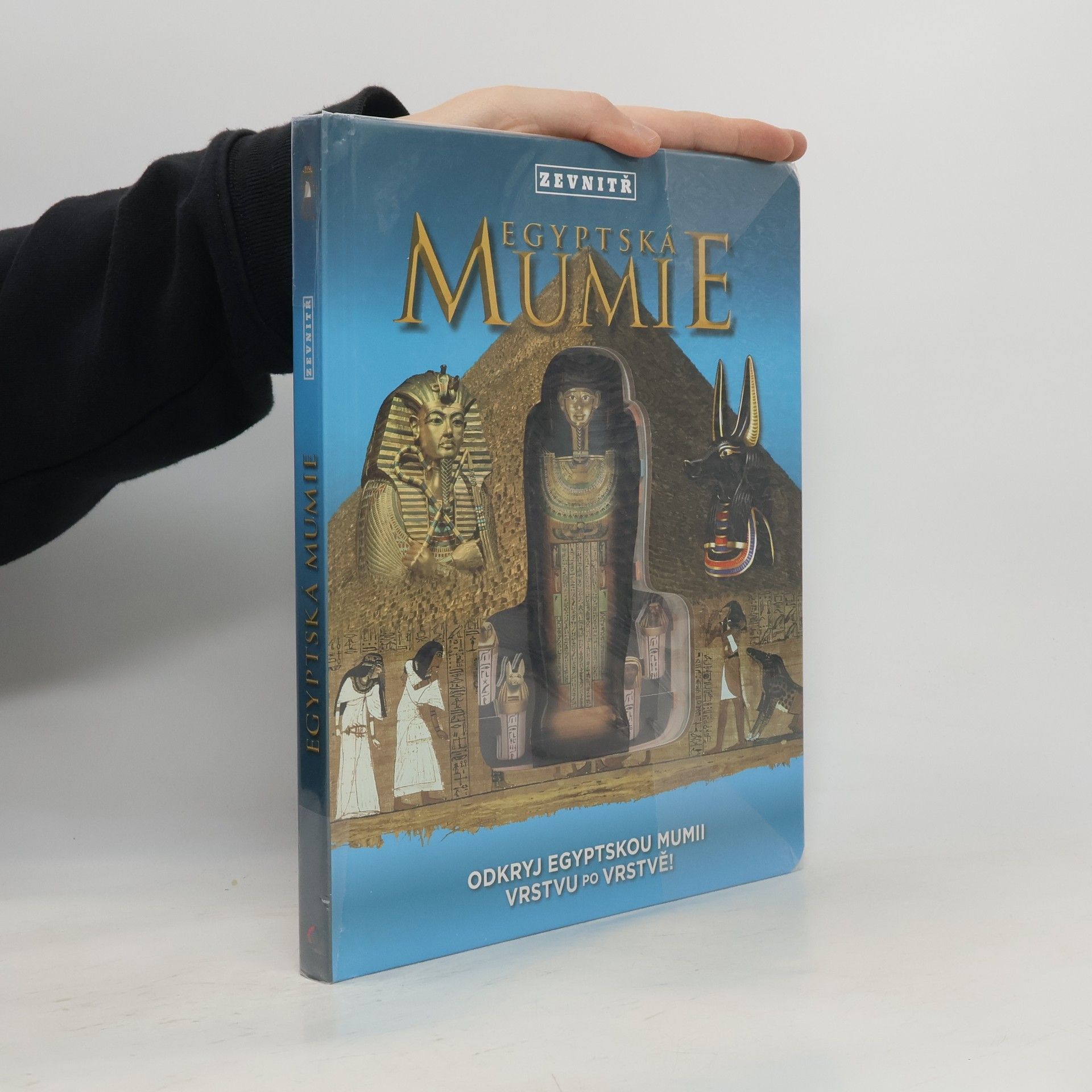 Lorraine Jean Hopping Mumie zevnitř: Rozbal egyptskou mumii vrstvu po vrstvě