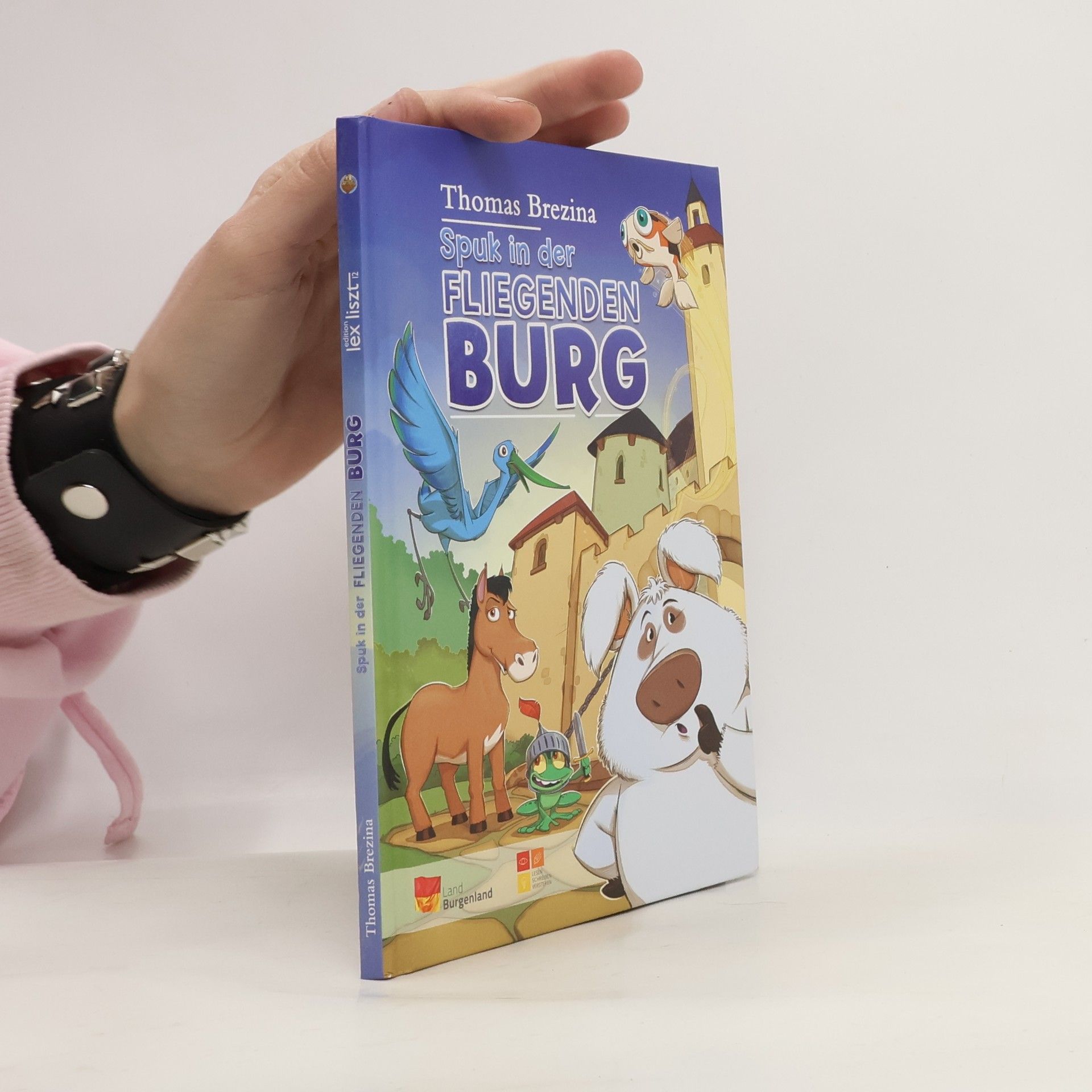 Thomas Brezina Spuk in der Fliegenden Burg